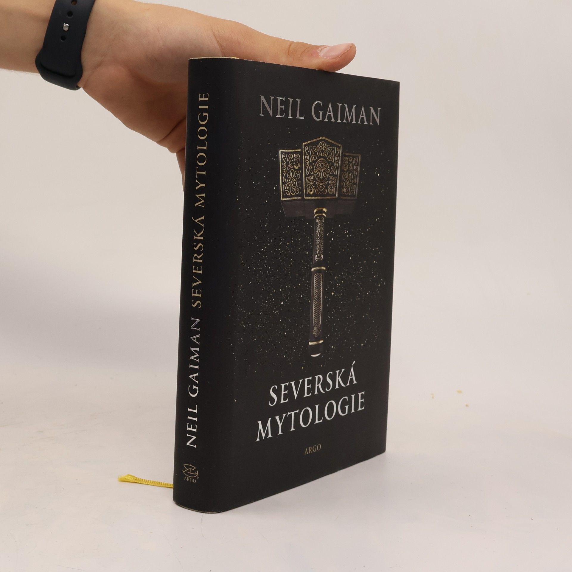 Neil Gaiman Severská mytologie