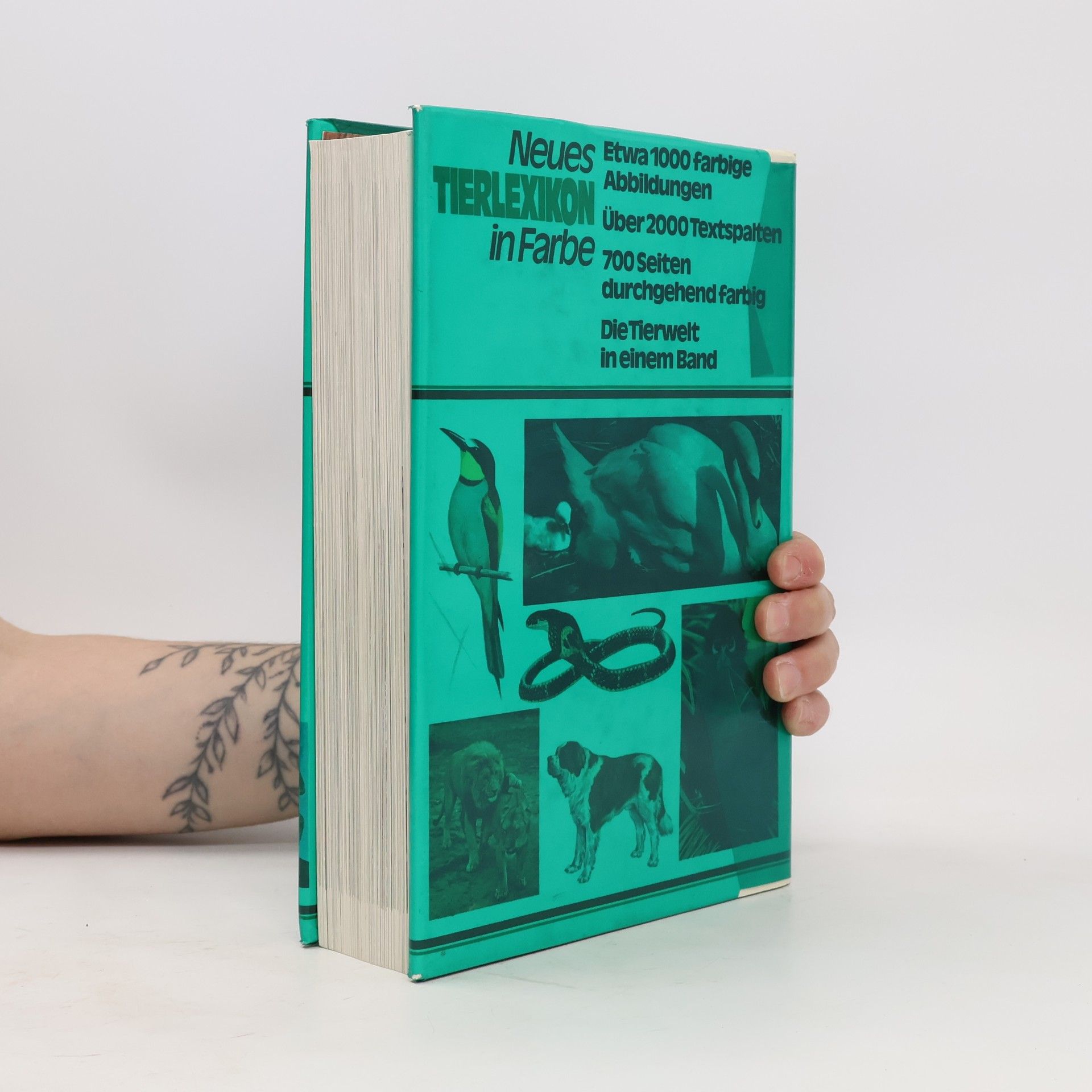 Autorenkollektiv Neues Tierlexikon in Farbe