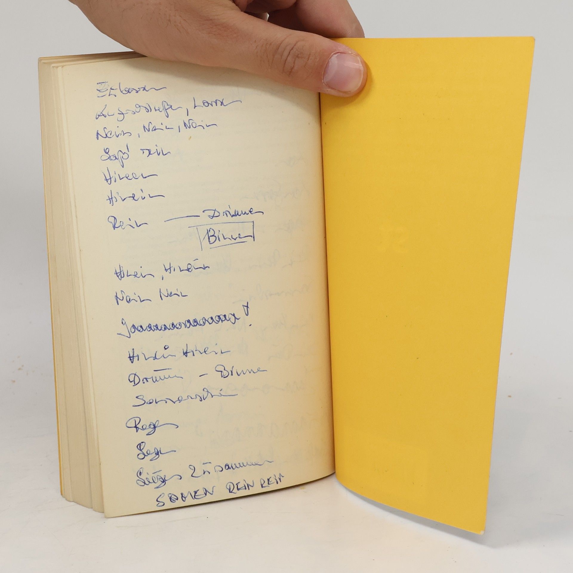 Thomas Bernhard Der Untergeher