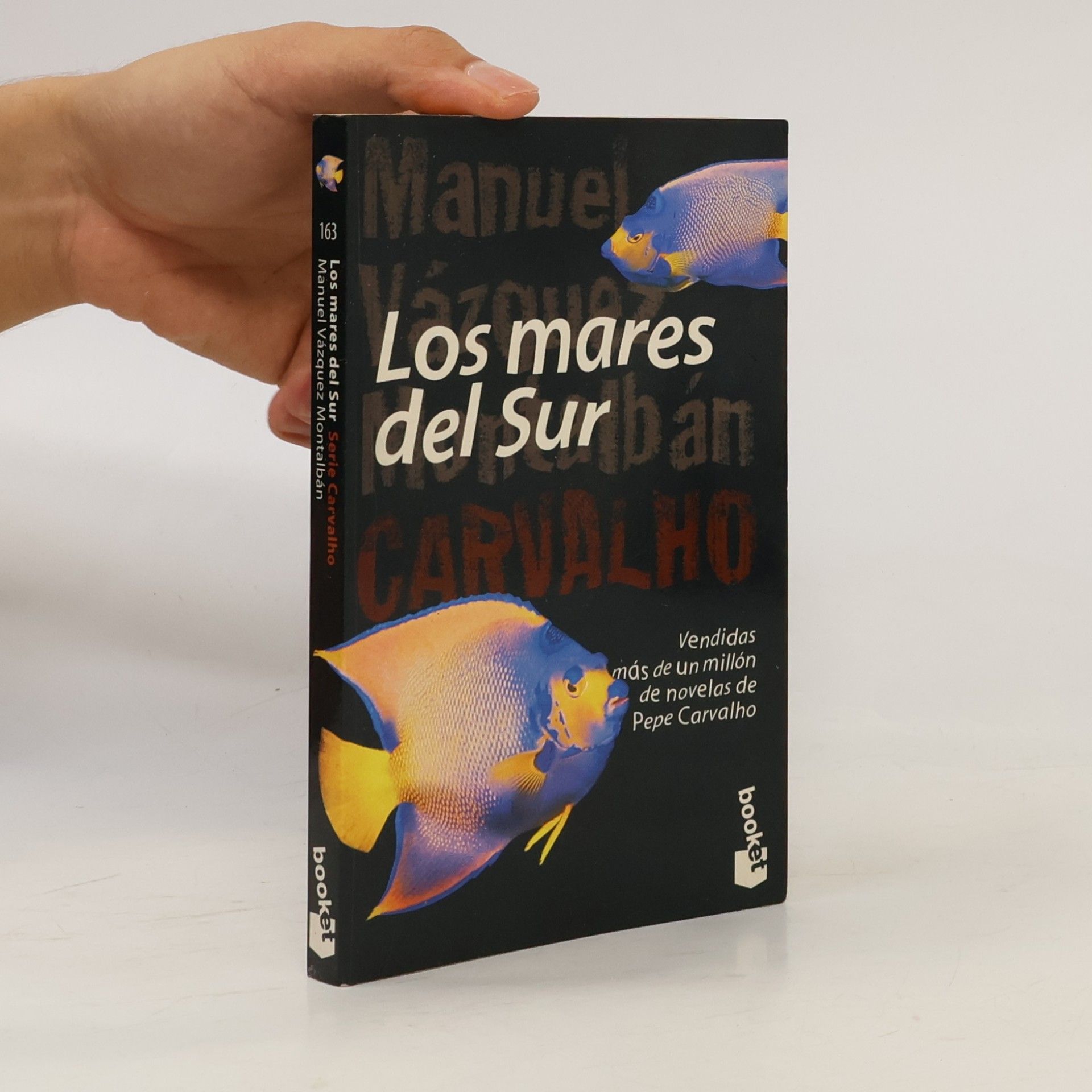 Serie Carvalho: Los mares del Sur
