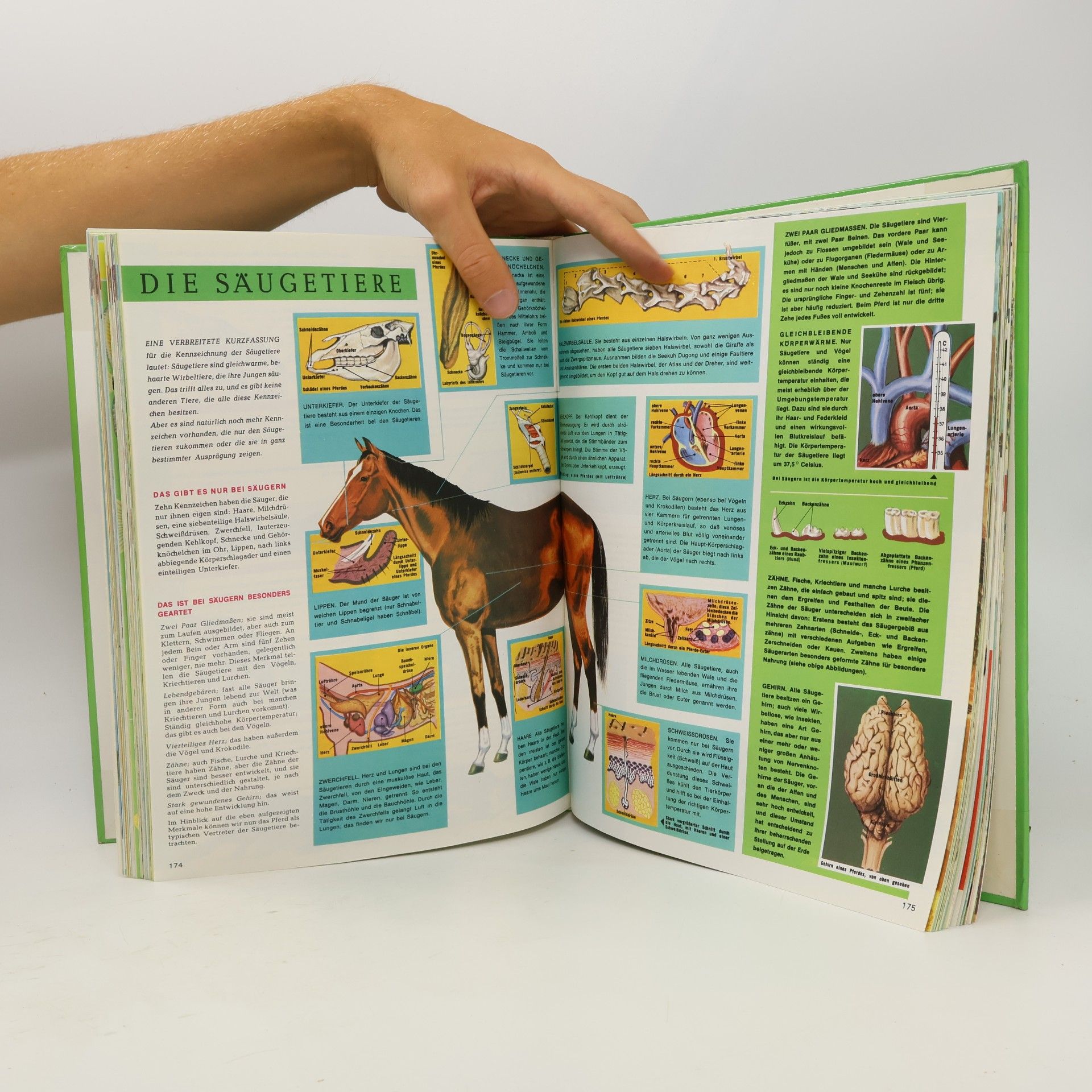 Kolektiv autorů Das musst du wissen. Das große Buch der Tiere in Farbe