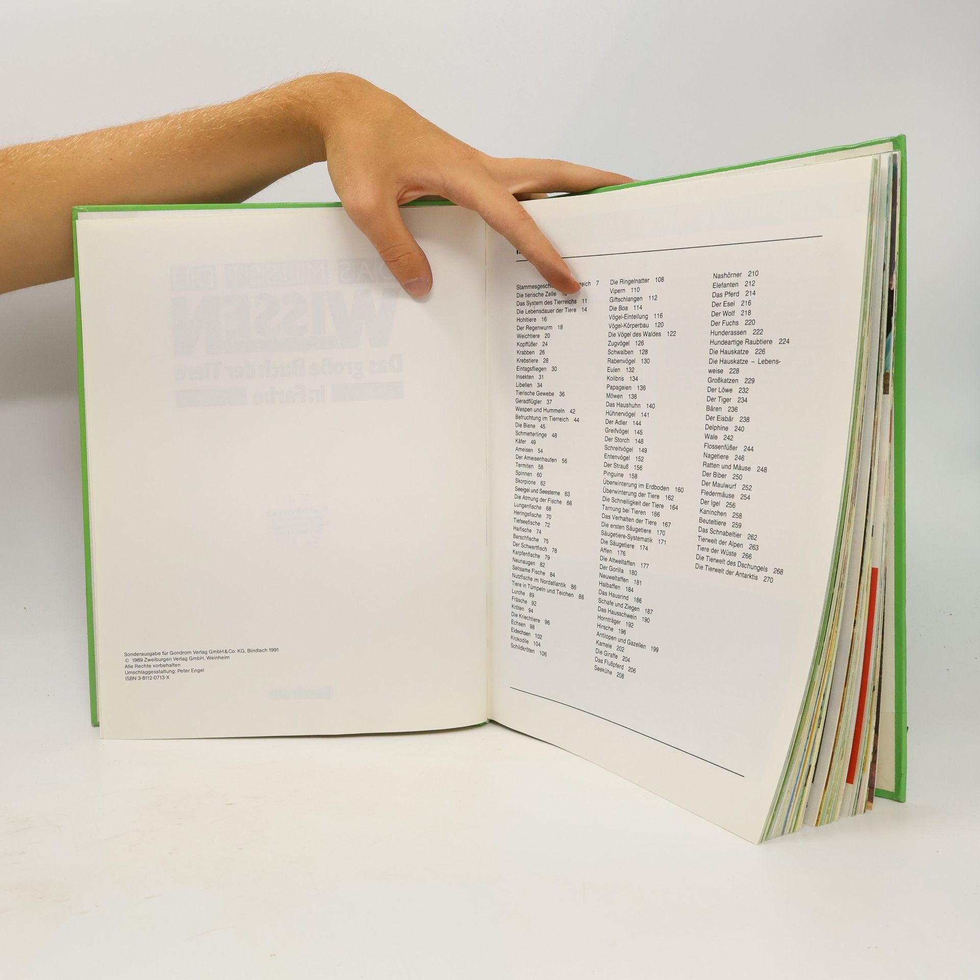 Kolektiv autorů Das musst du wissen. Das große Buch der Tiere in Farbe