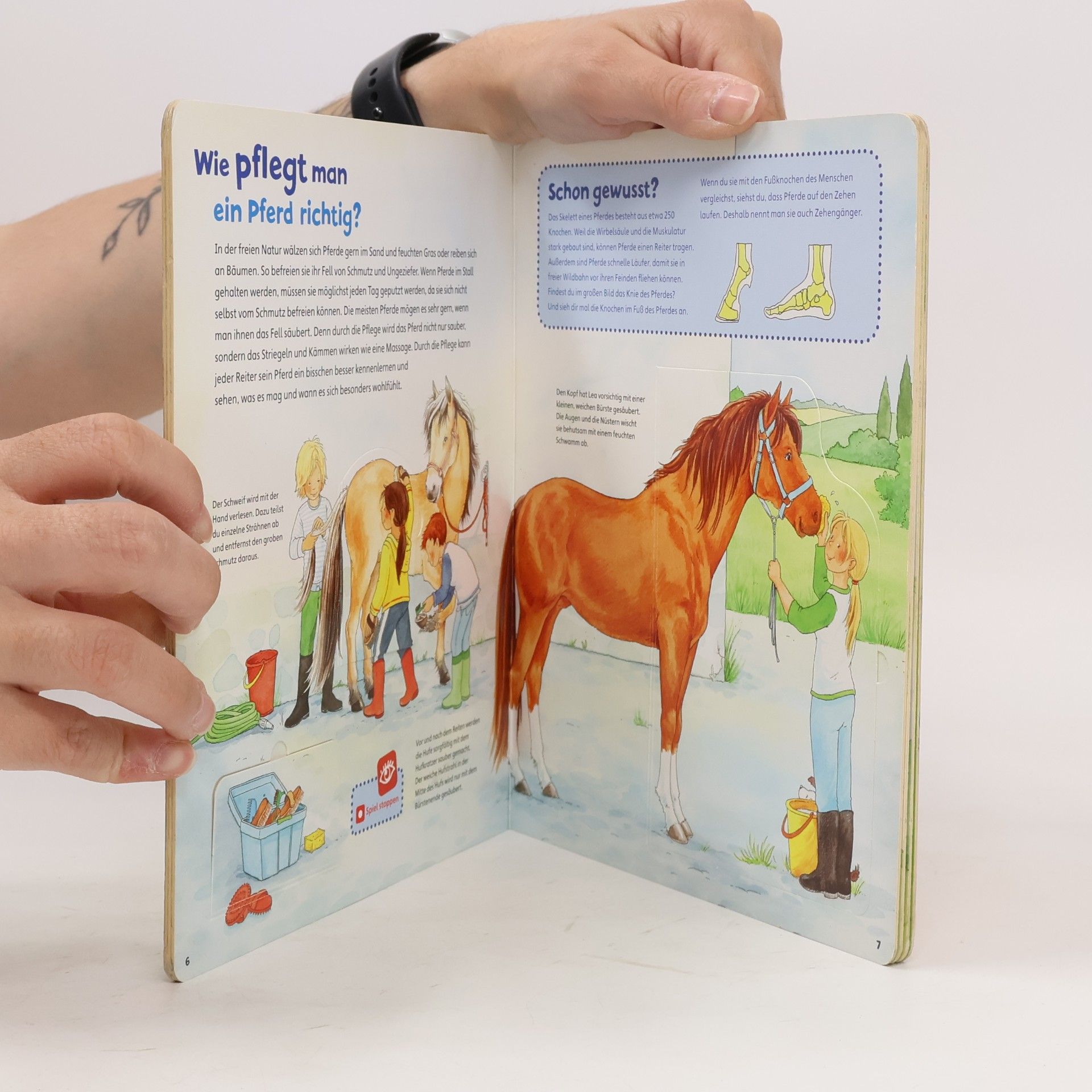 Various authors Was ist was Junior. Pferde und Ponys