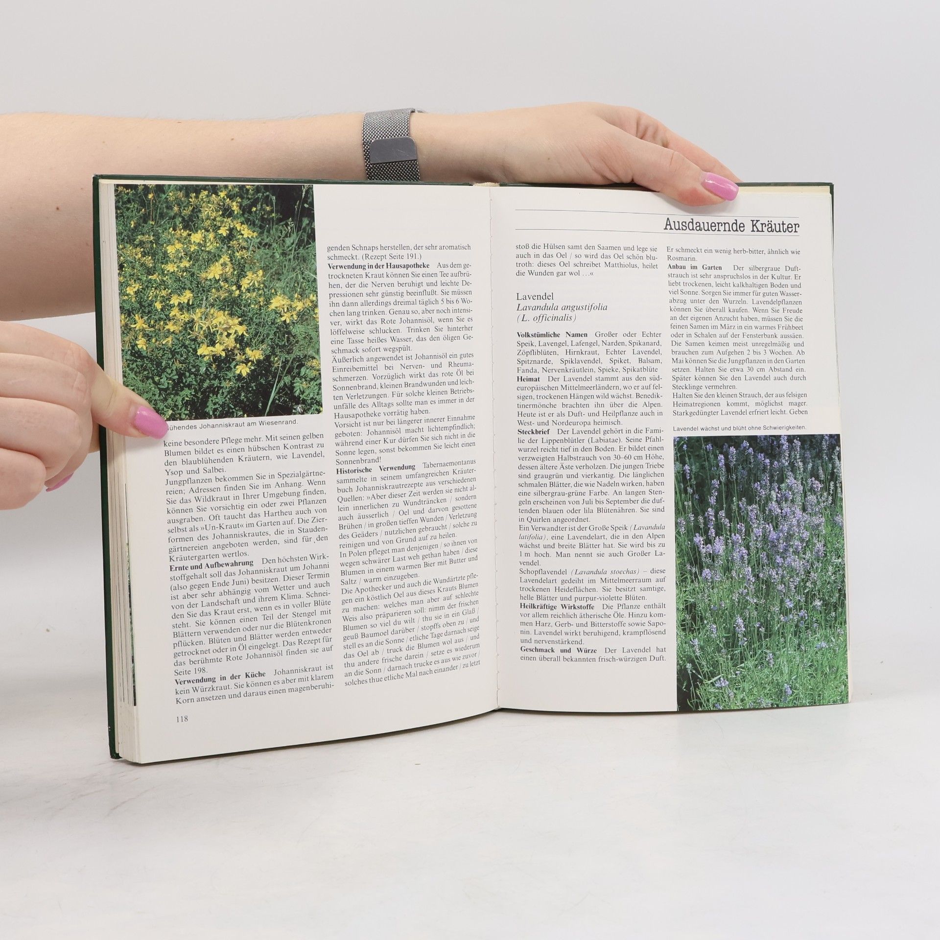 Marie-Luise Kreuter Kräuter und Gewürze aus dem eigenen Garten