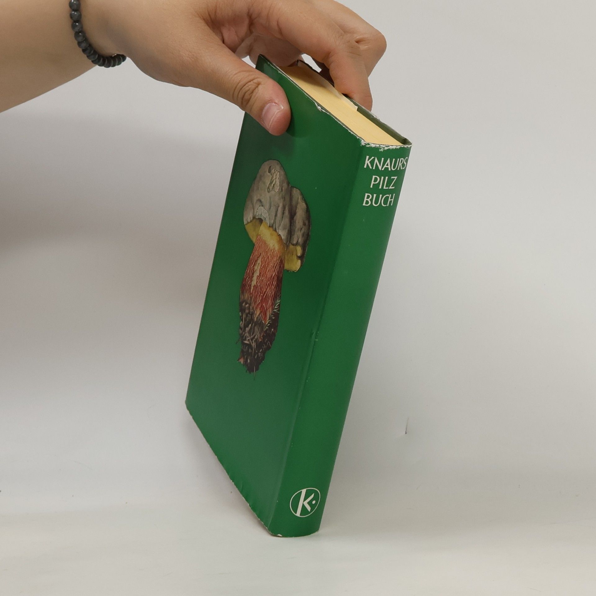 Autorenkollektiv Knaurs Pilz-Buch