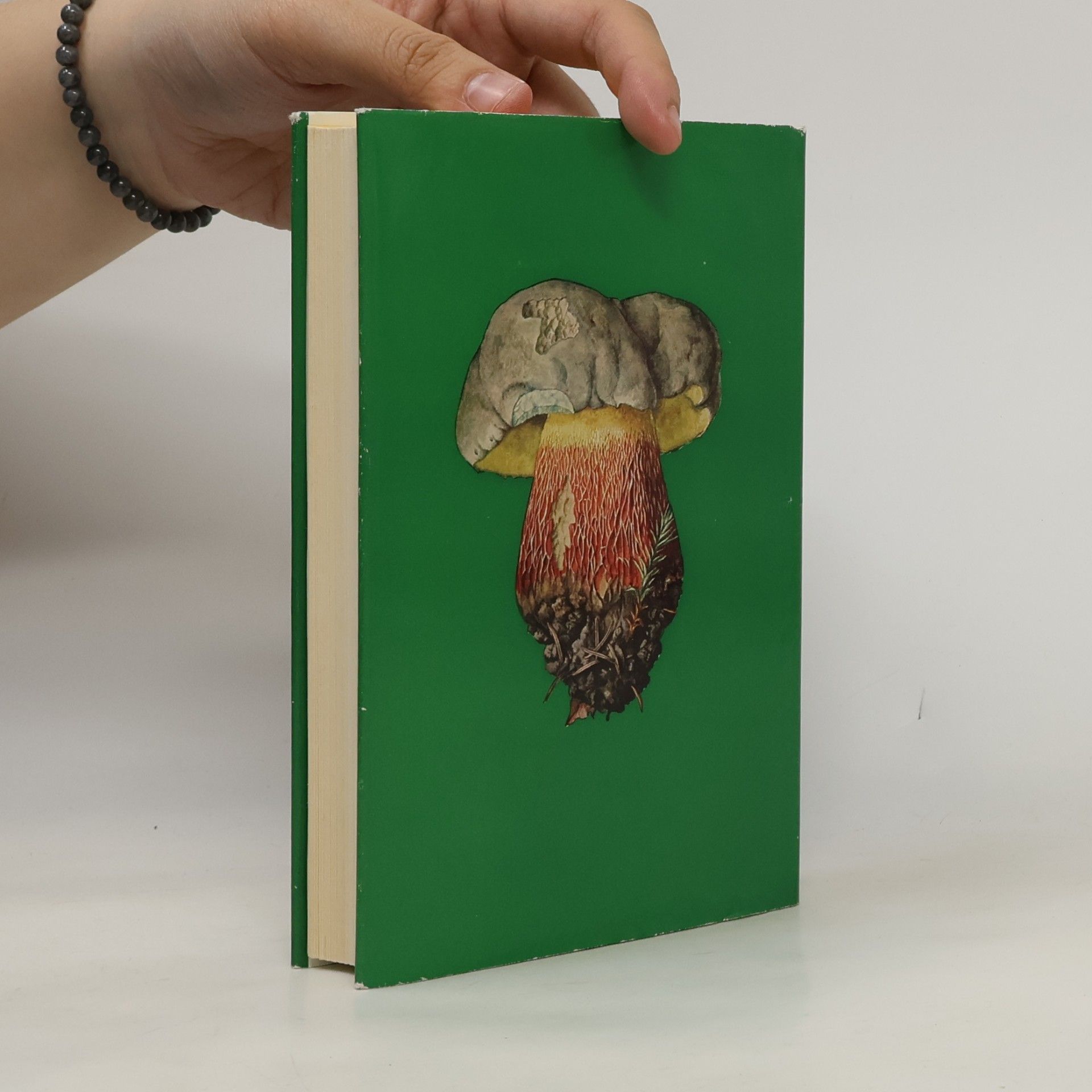 Autorenkollektiv Knaurs Pilz-Buch