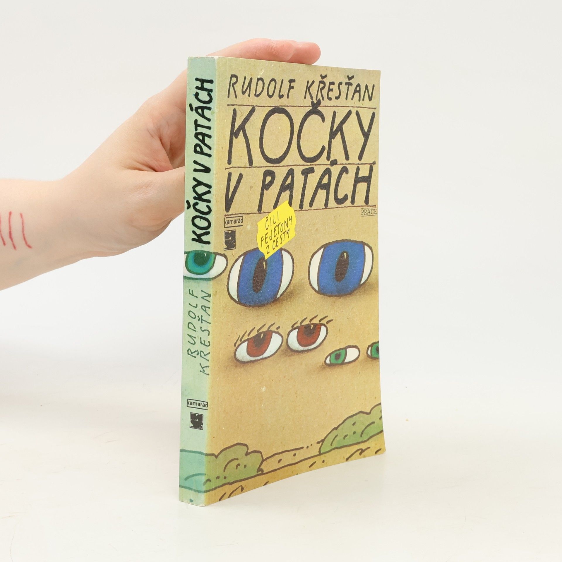 Kočky v patách čili fejetony z cesty