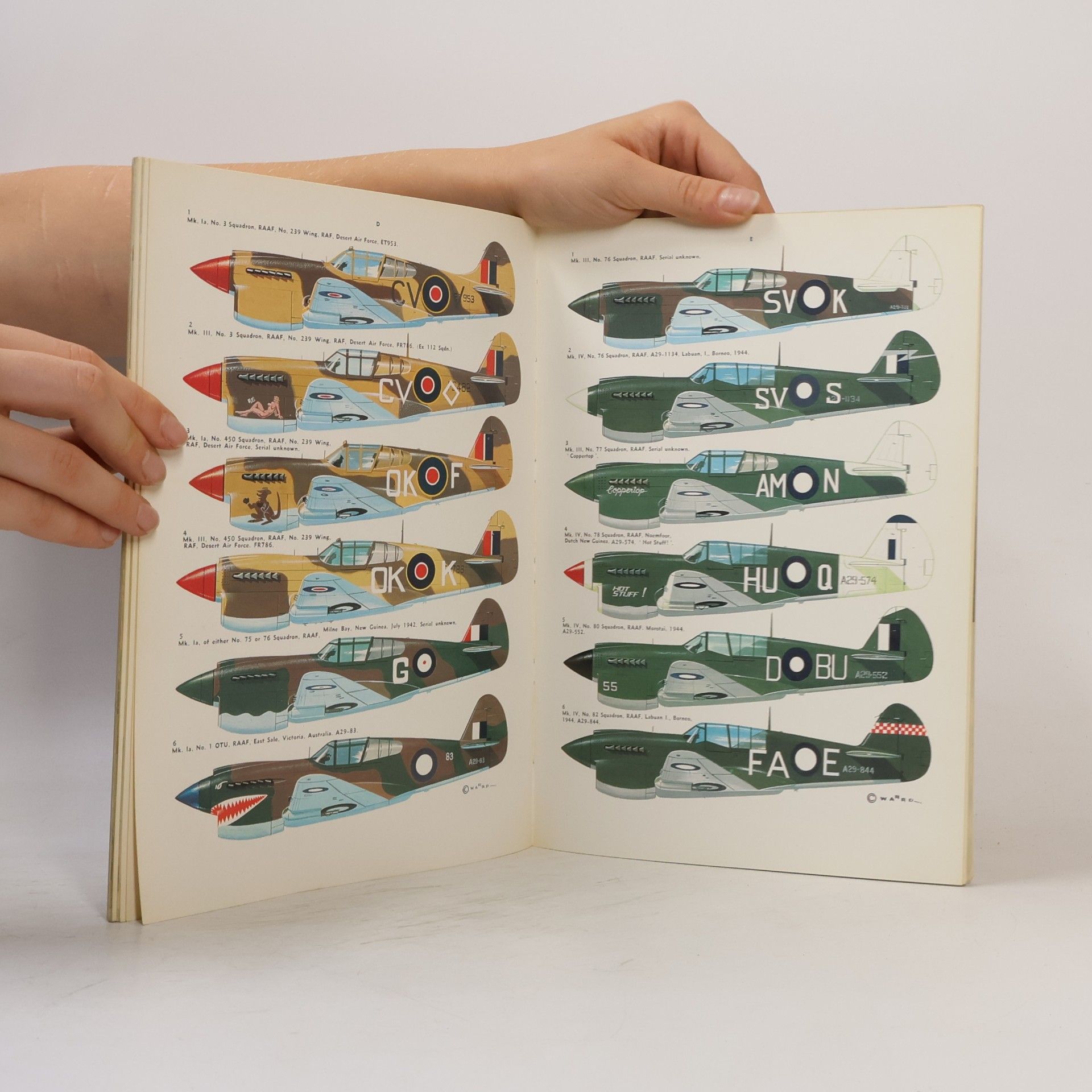 Autores varios Curtiss Kittyhawk MK. I-IV. No. 6