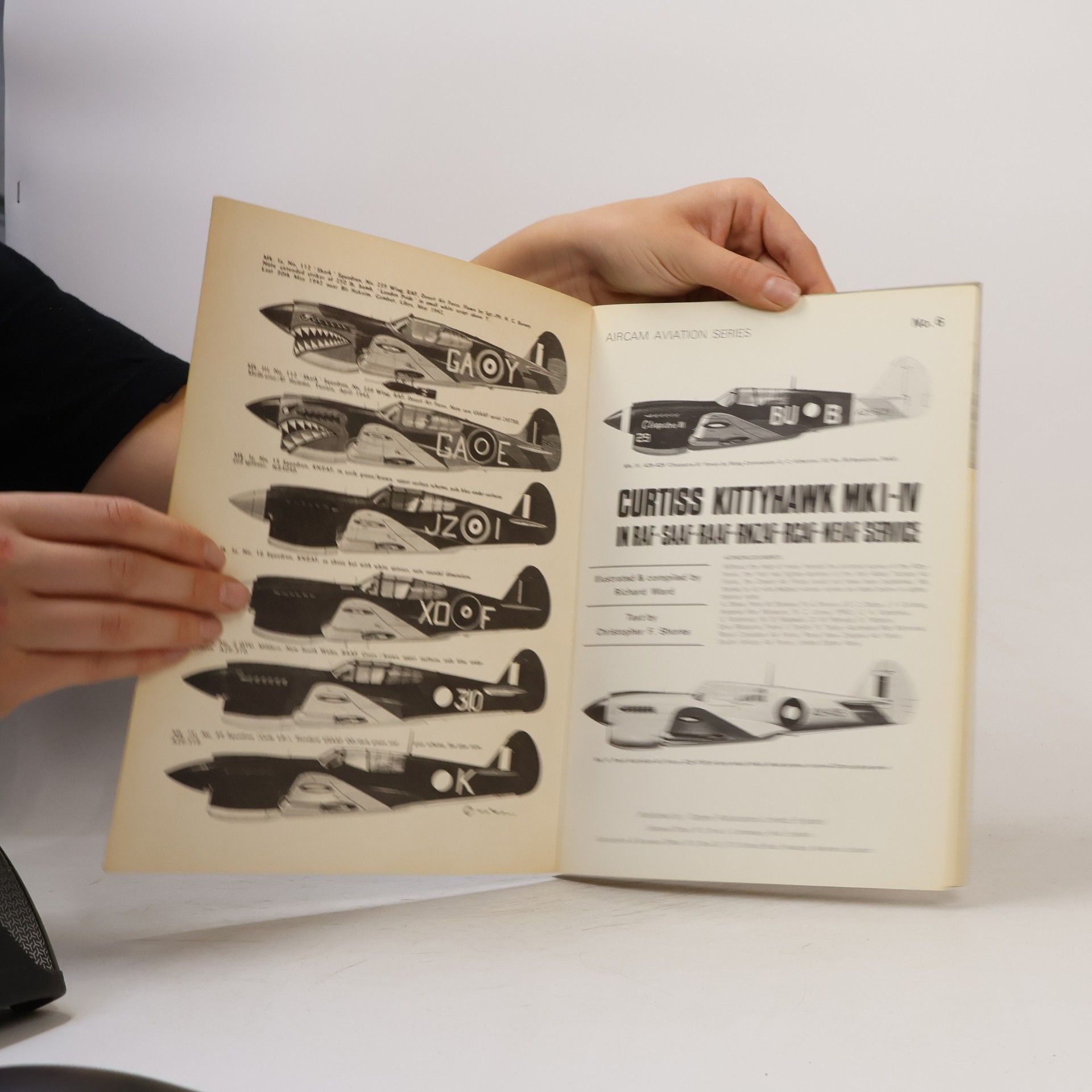 Autores varios Curtiss Kittyhawk MK. I-IV. No. 6