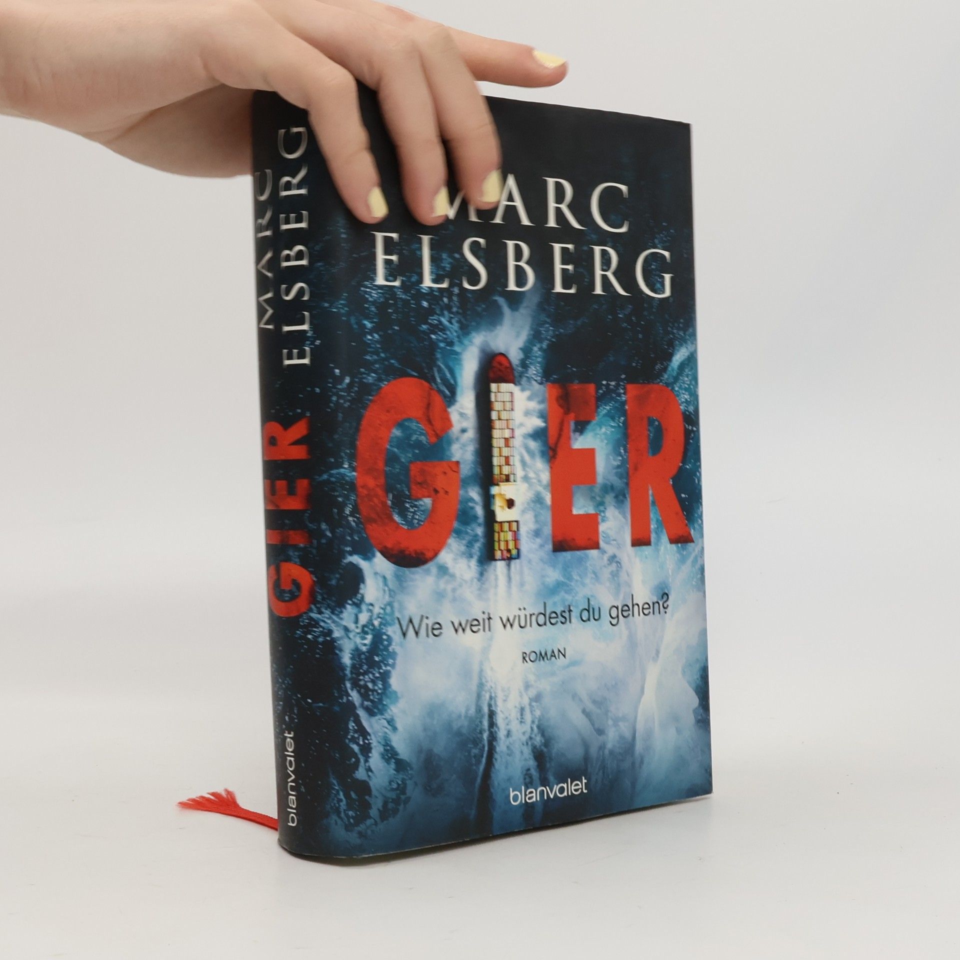 Marc Elsberg Gier