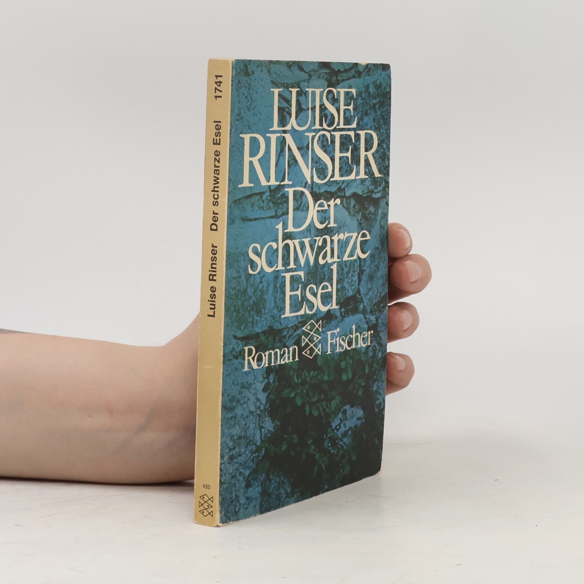 Luise Rinser Der schwarze Esel