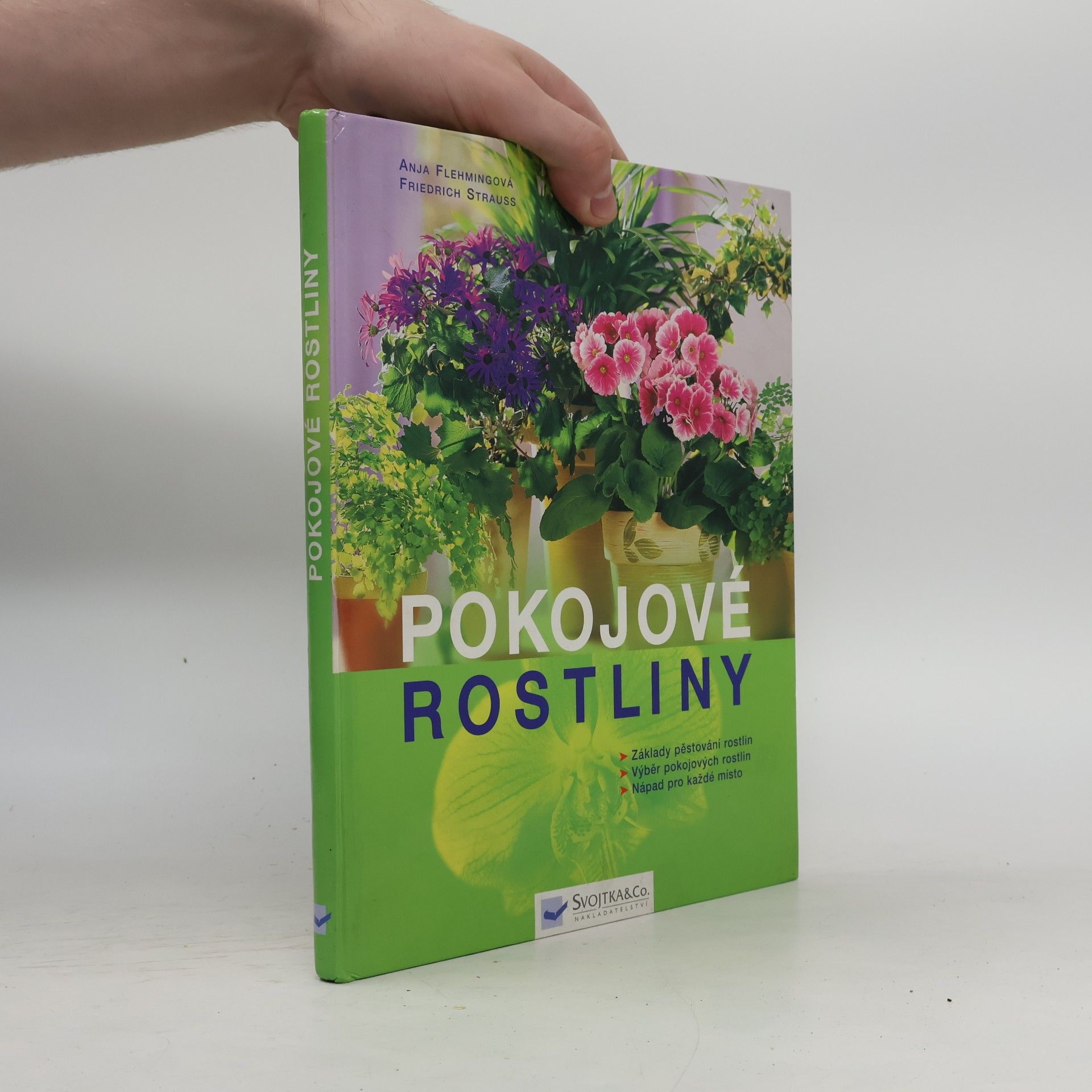 Anja Flehmig Pokojové rostliny