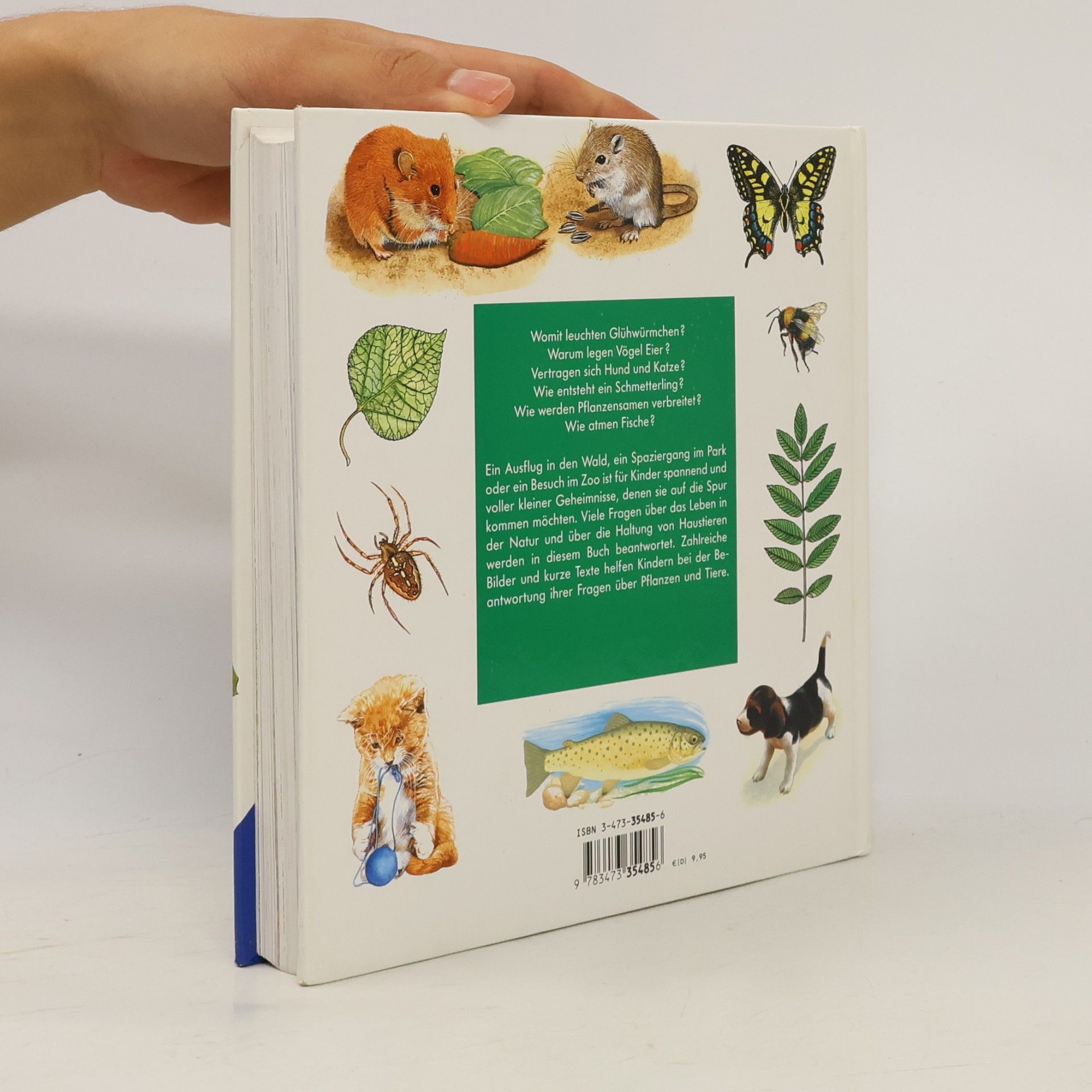 Ravensburger Buchverlag Alles was ich wissen will