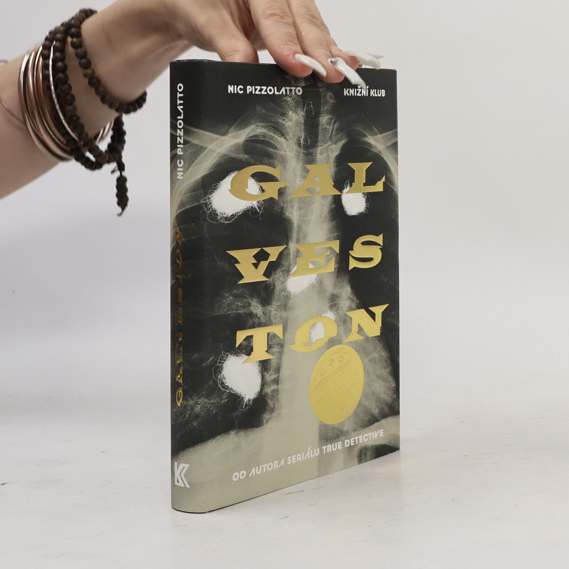 Nic Pizzolatto Galveston