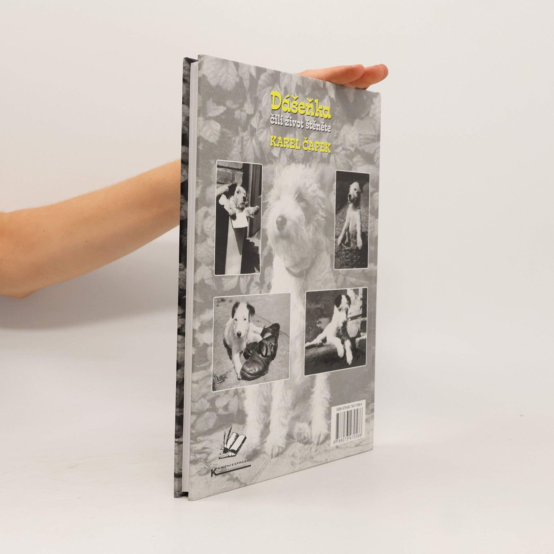 Karel Čapek Dášeňka, čili, život štěněte