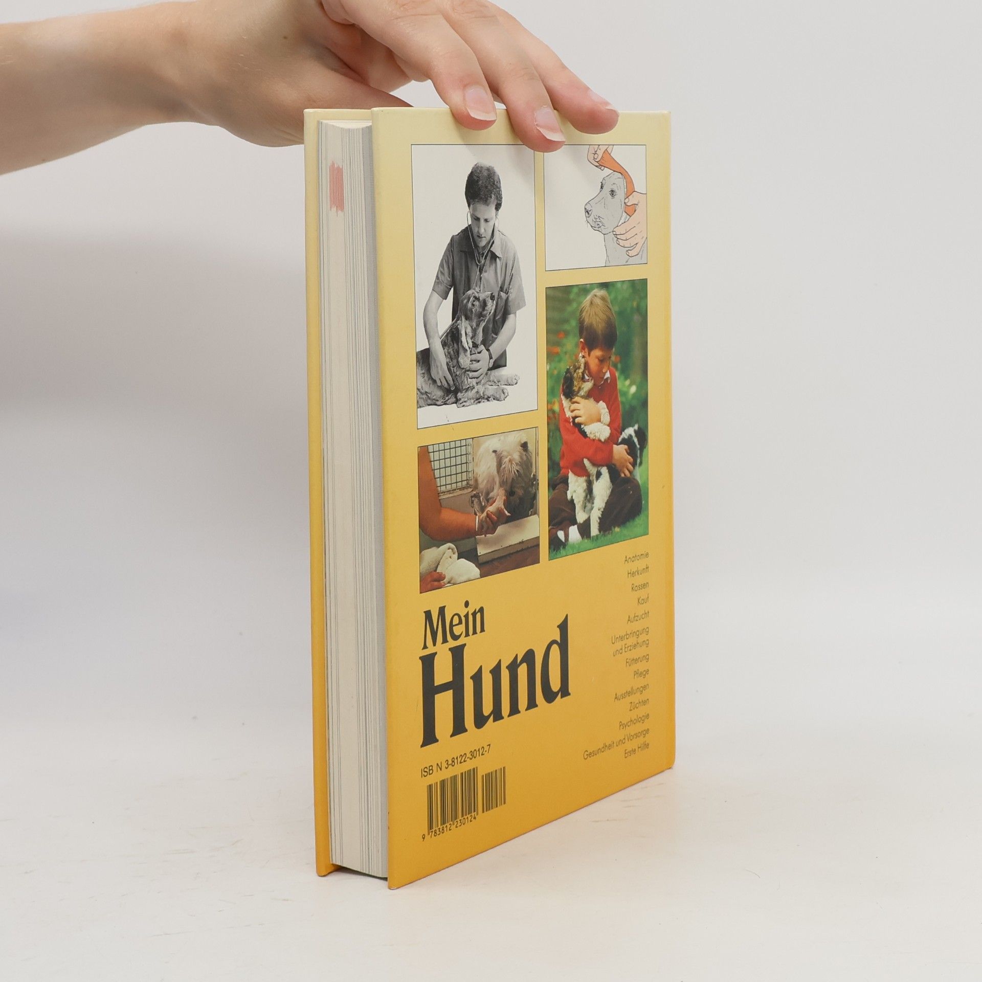 Mein Hund