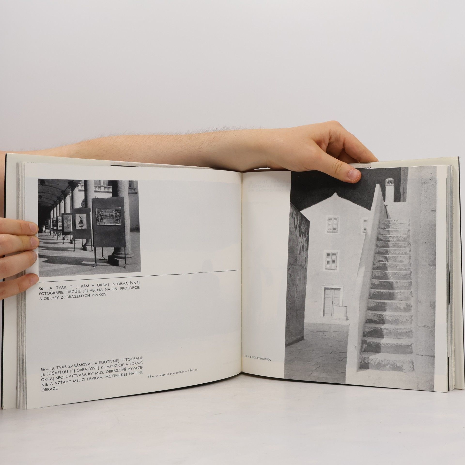 Ladislav Noel Dva póly fotografie