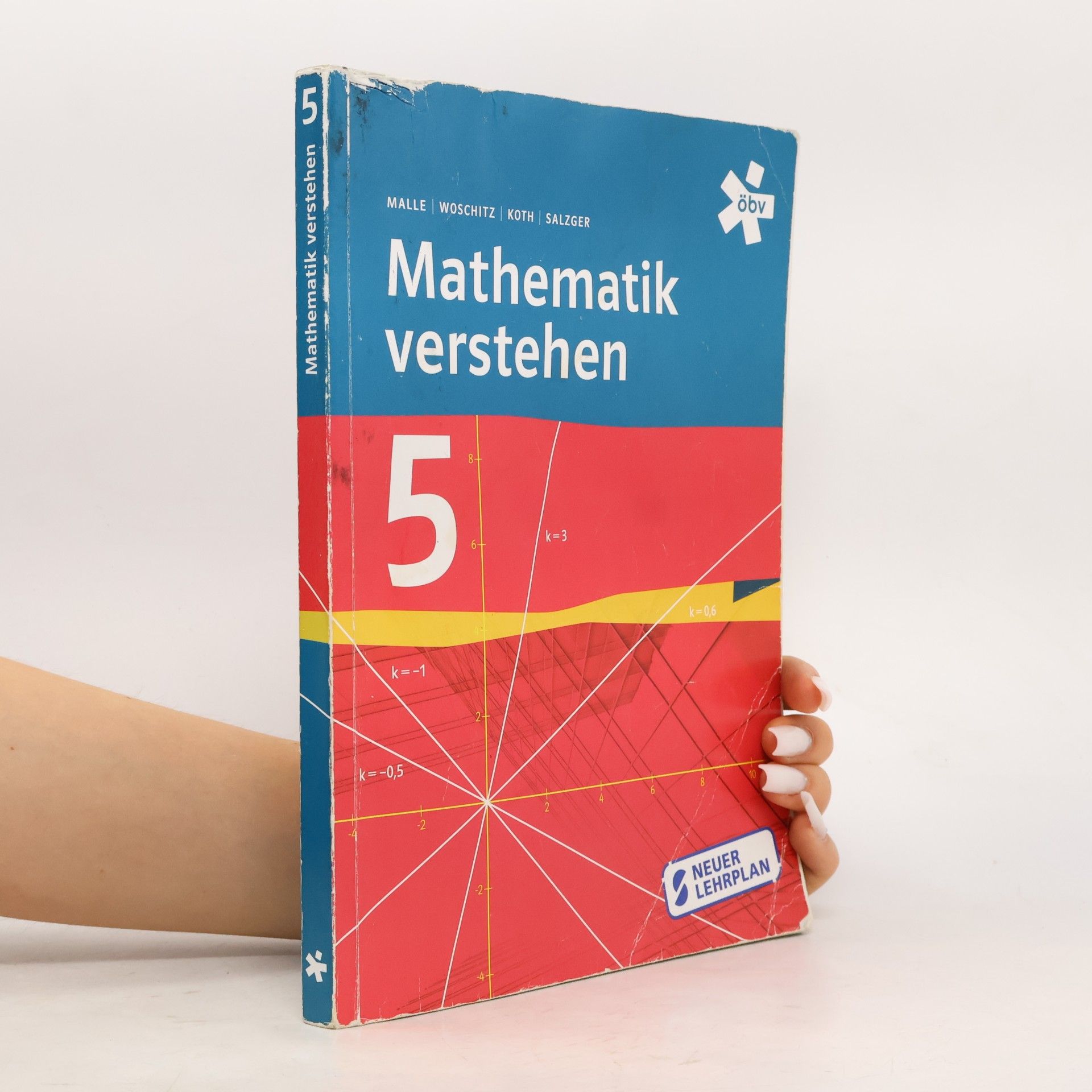 Günther Malle Mathematik verstehen 5