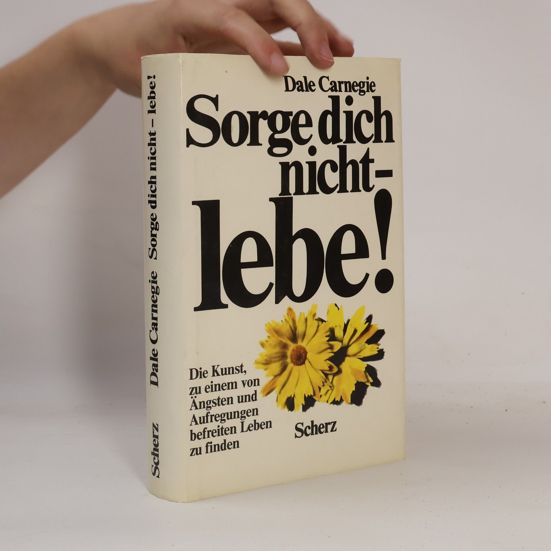 Dale Carnegie Sorge dich nicht - lebe!