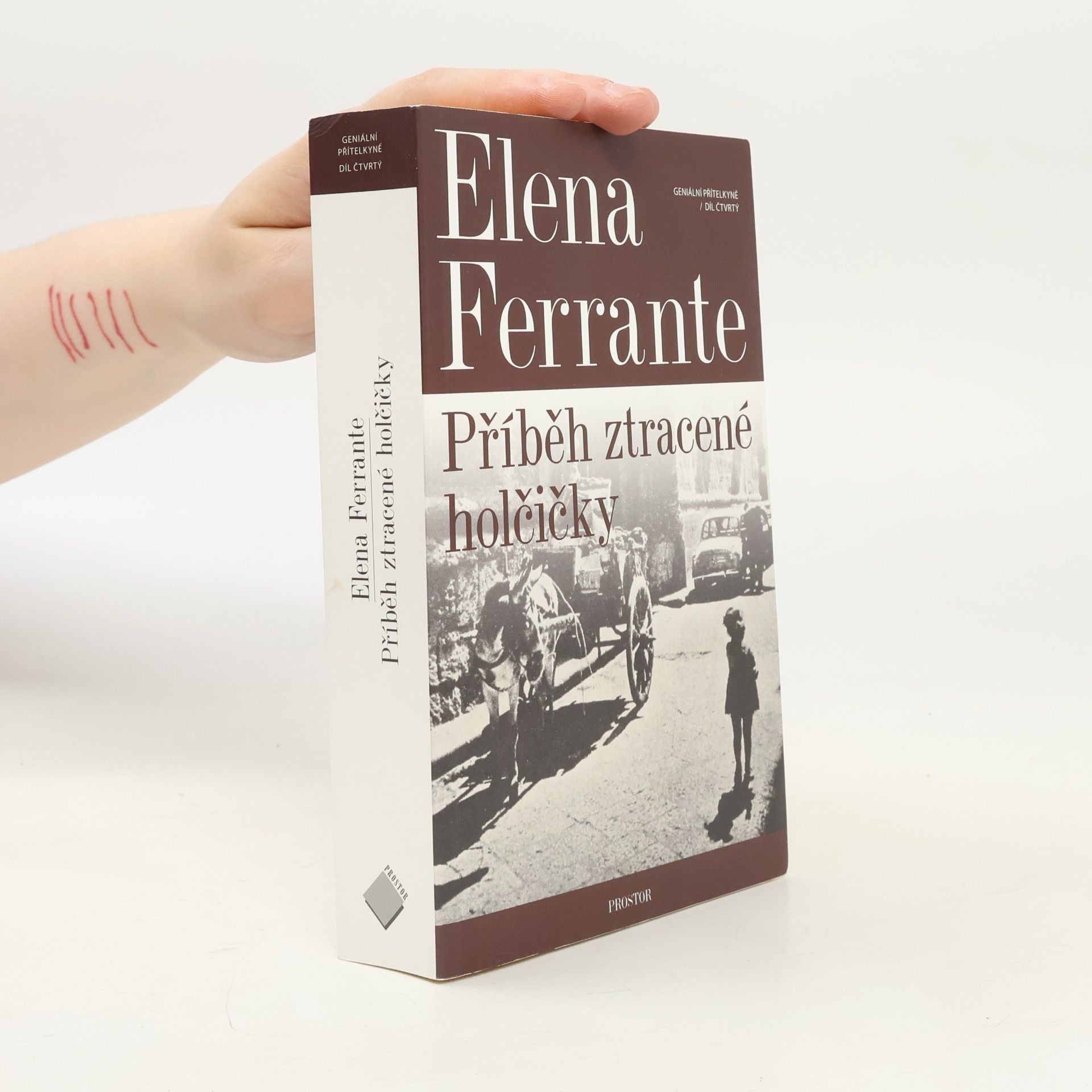 Elena Ferrante Příběh ztracené holčičky. Geniální přítelkyně. 4. díl