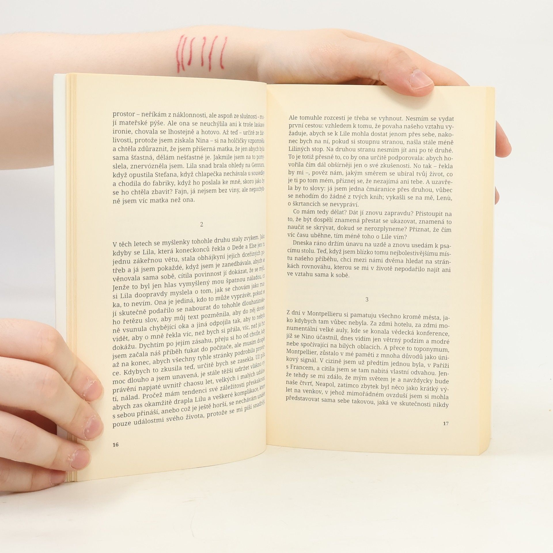 Elena Ferrante Příběh ztracené holčičky. Geniální přítelkyně. 4. díl