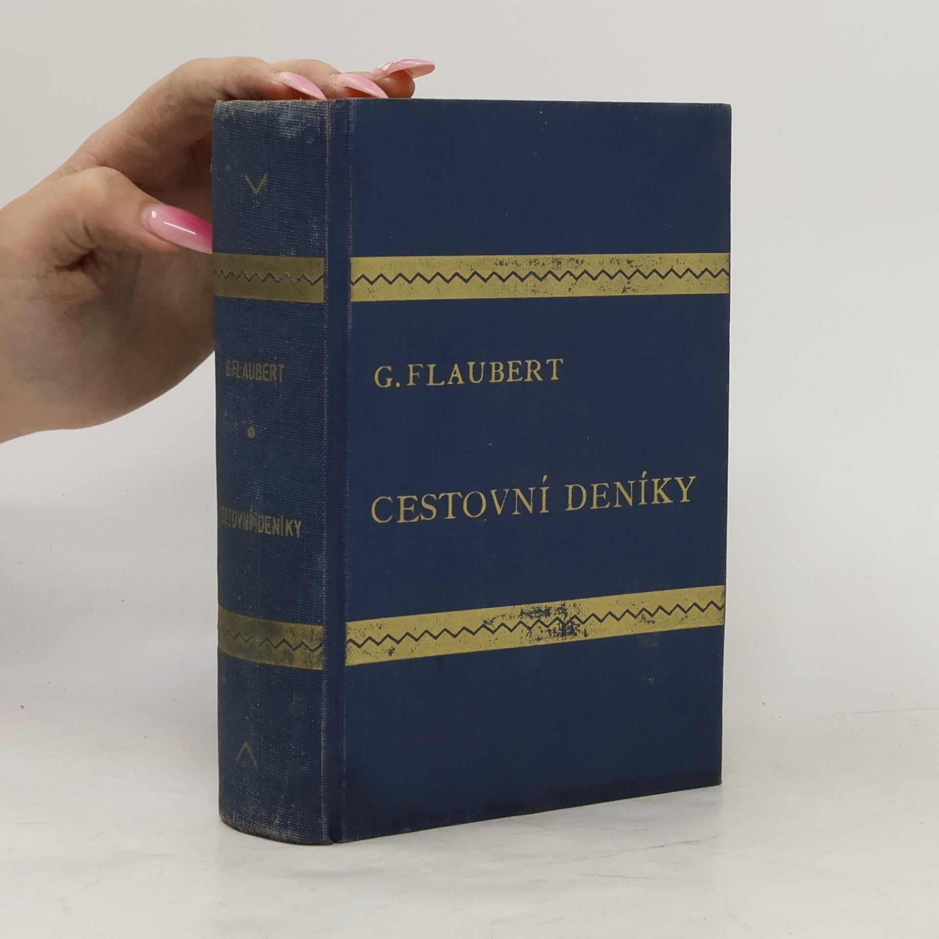 Gustave Flaubert Spisy Gustava Flauberta IX. Cestovní deníky