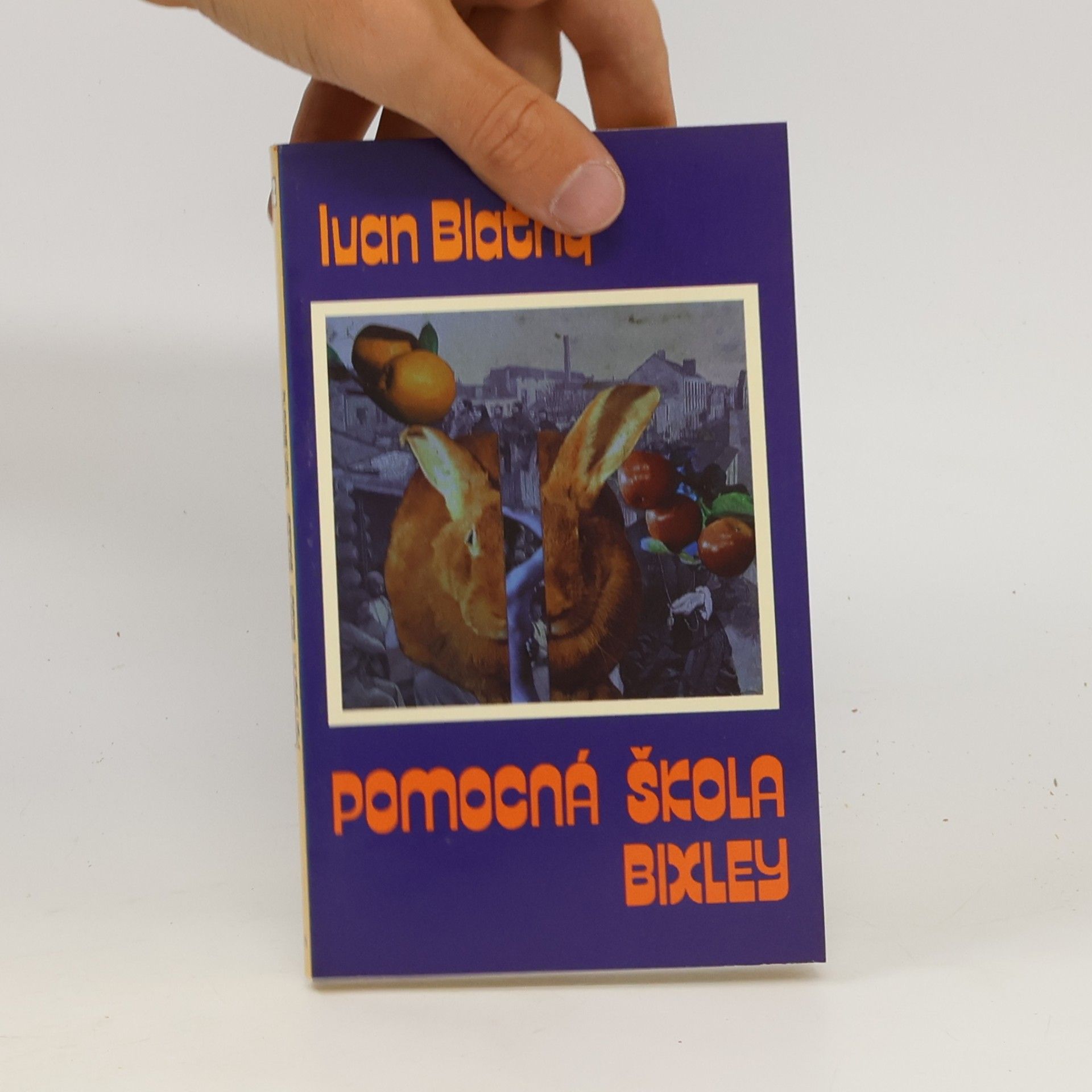 Ivan Blatný Pomocná škola Bixley