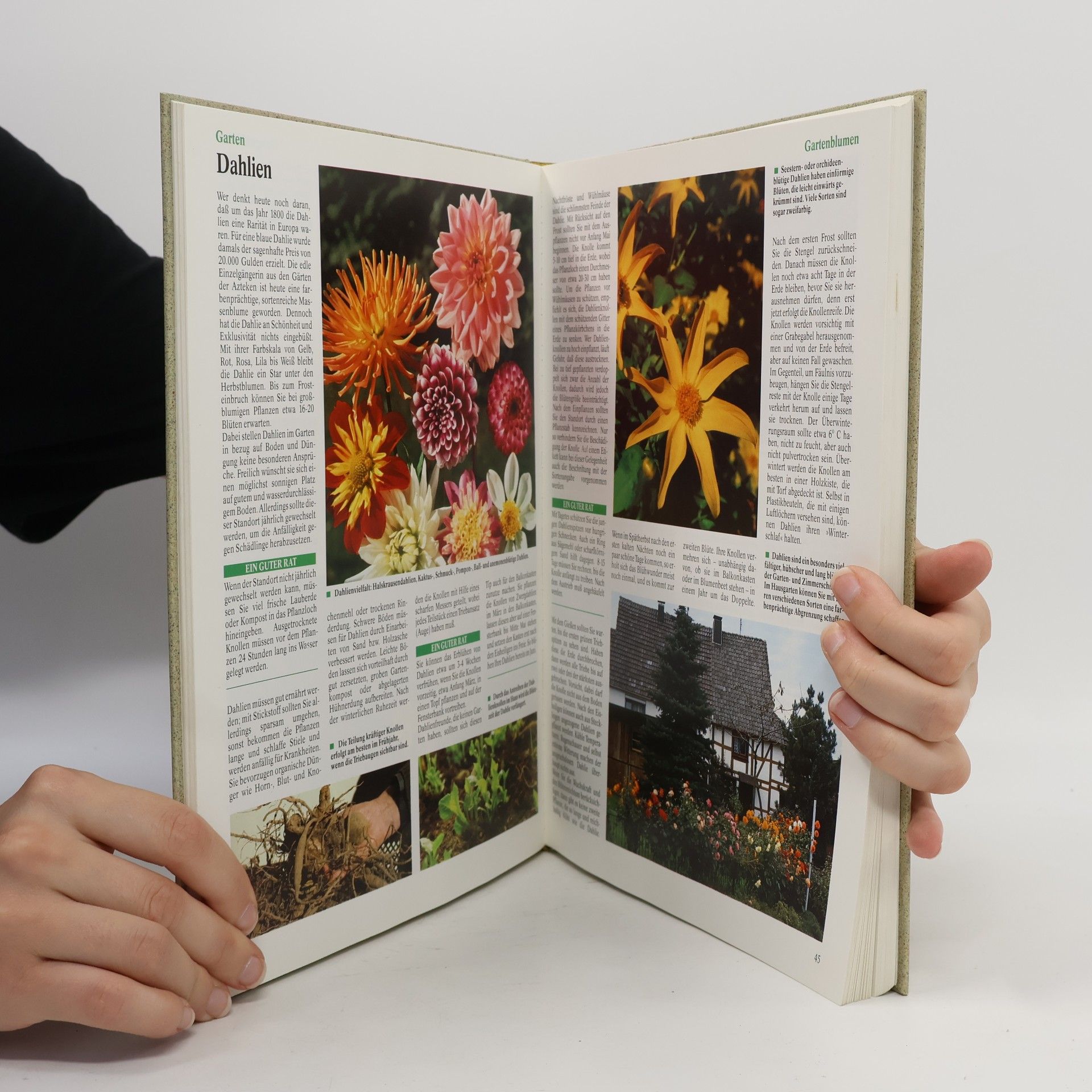 Autorenkollektiv ARD Ratgeber Heim + Garten