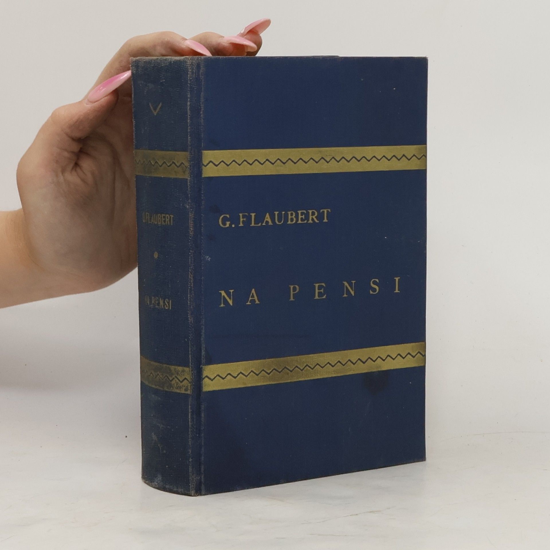 Gustave Flaubert Na Pensi
