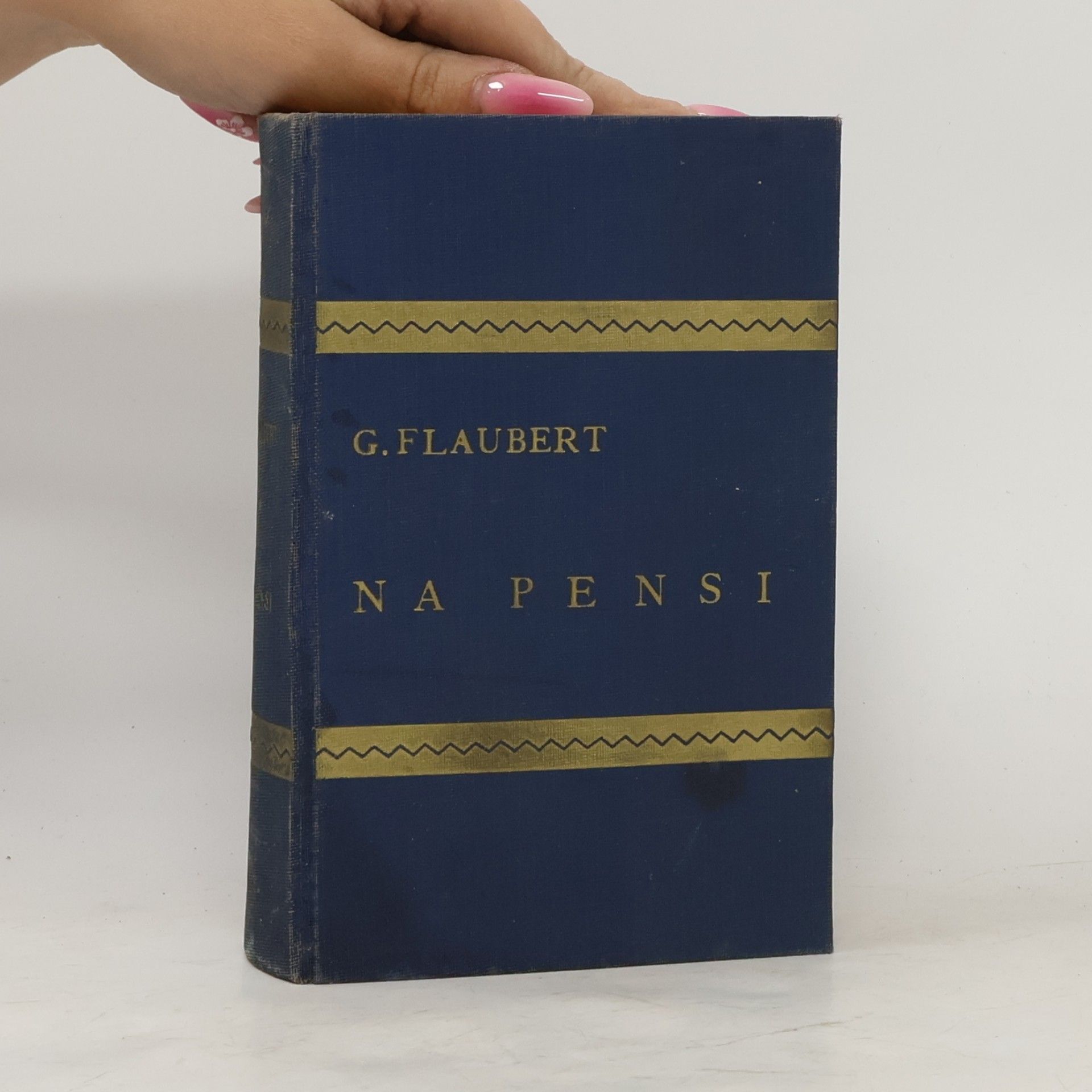 Gustave Flaubert Na Pensi