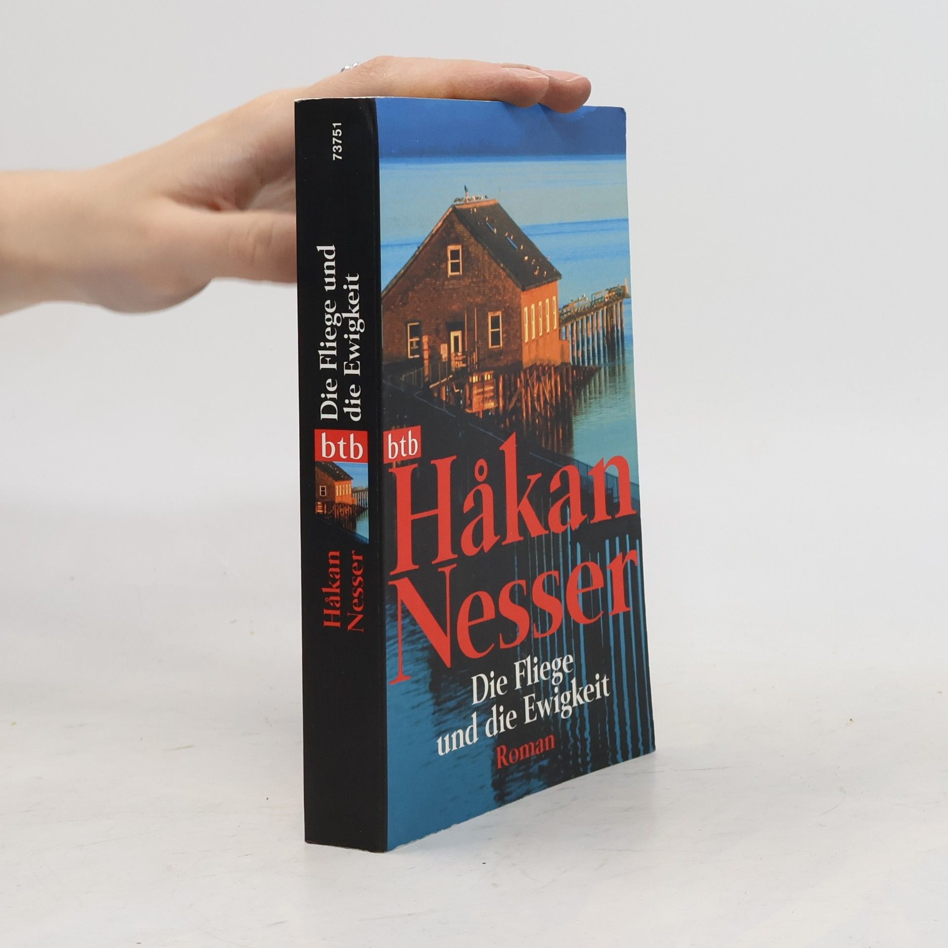 Håkan Nesser Die Fliege und die Ewigkeit