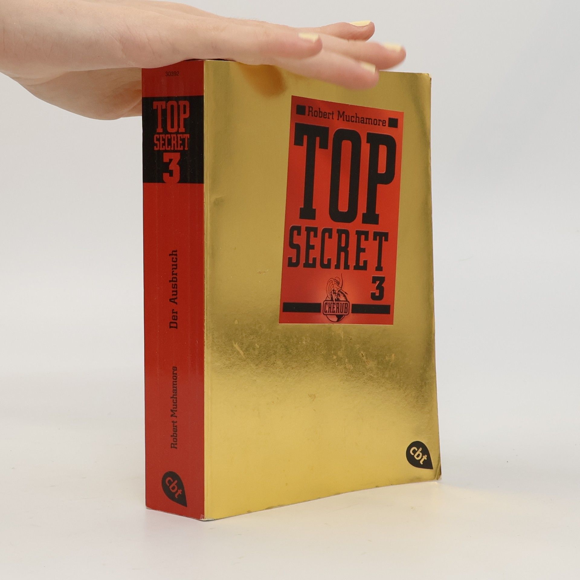 Top Secret 03. Der Ausbruch