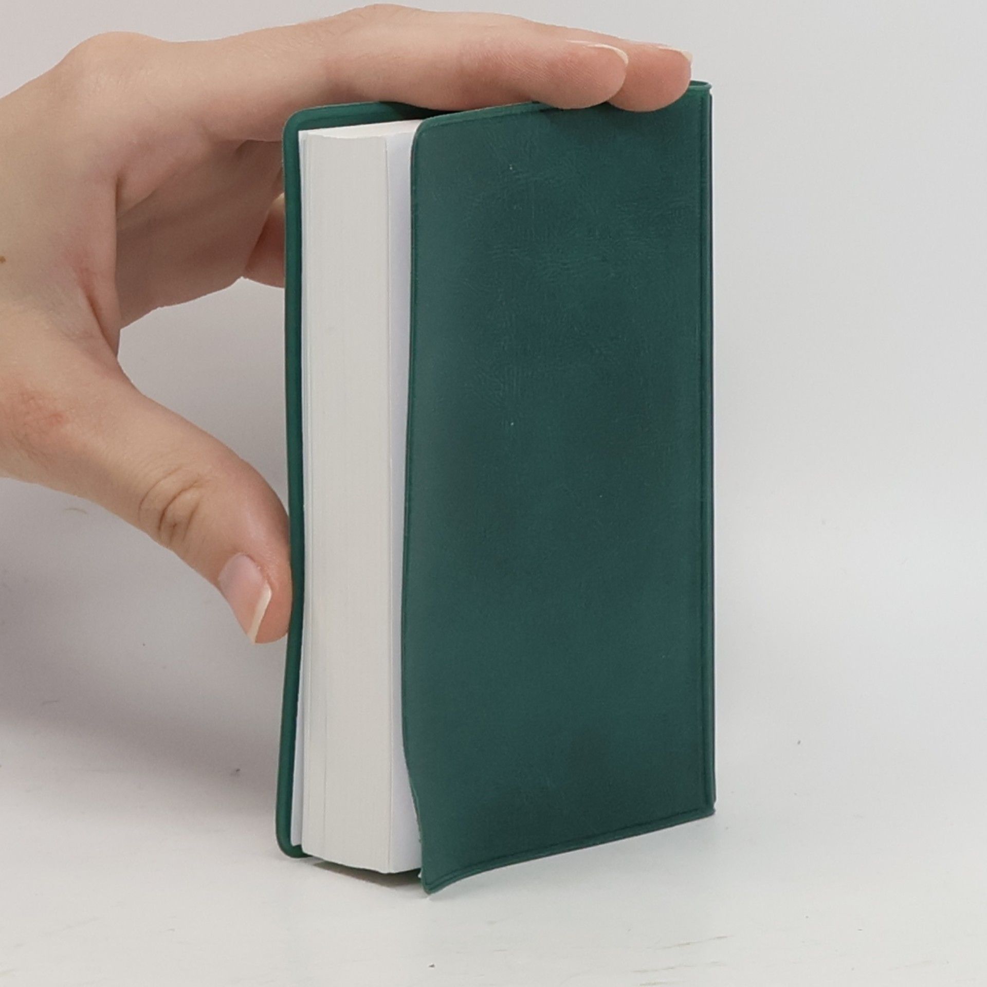 Autorenkollektiv Bibel: Neues Testament mit Psalmen Sprüchen