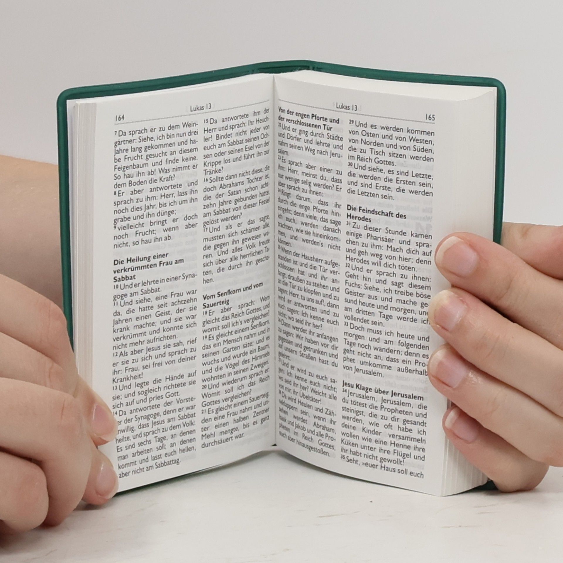 Autorenkollektiv Bibel: Neues Testament mit Psalmen Sprüchen