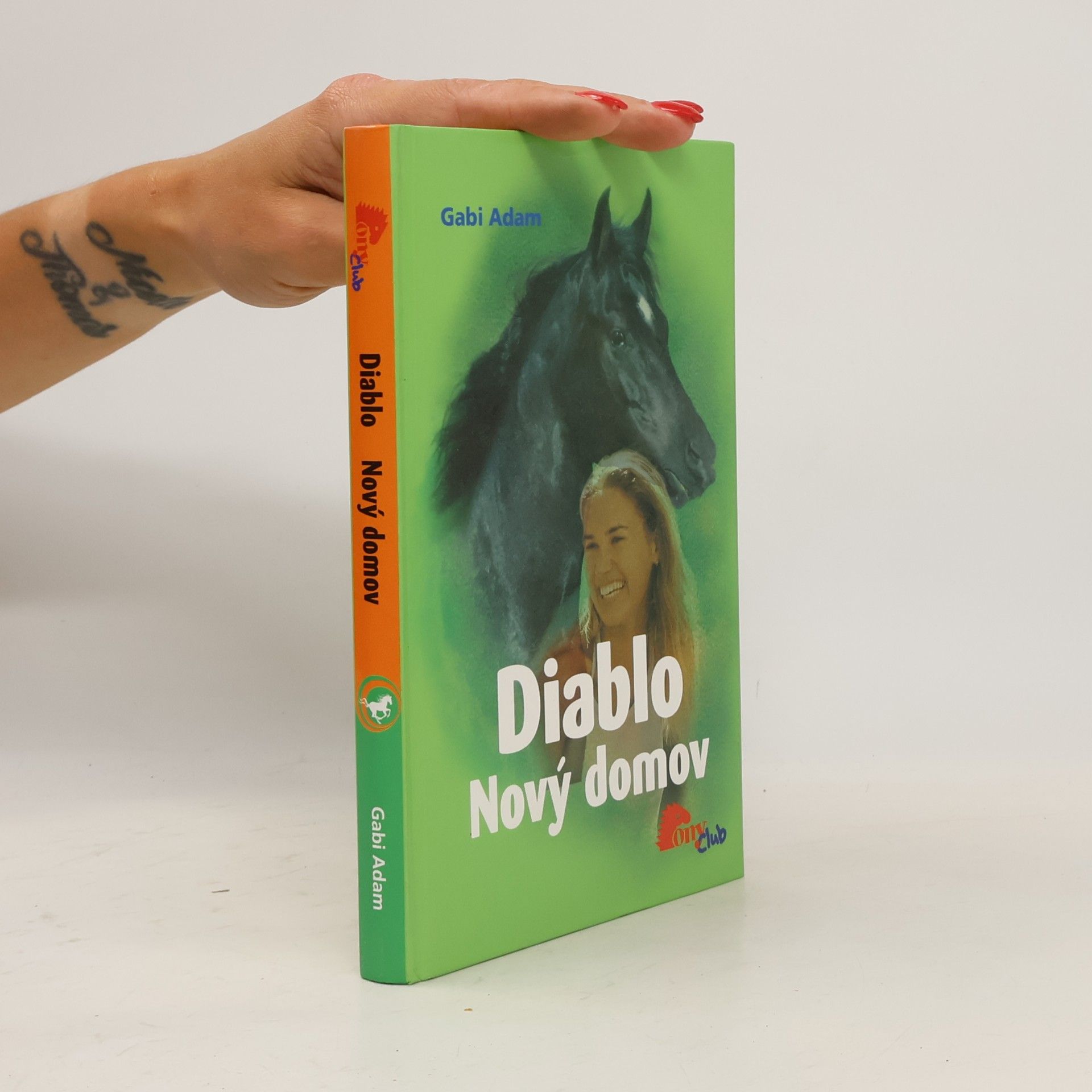 Gabi Adam Nový domov. Diablo 3