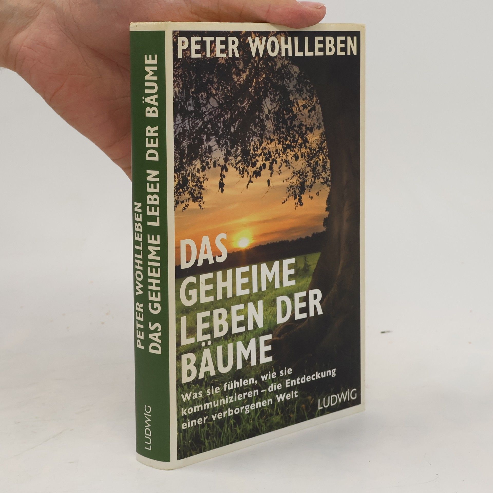 Das geheime Leben der Bäume