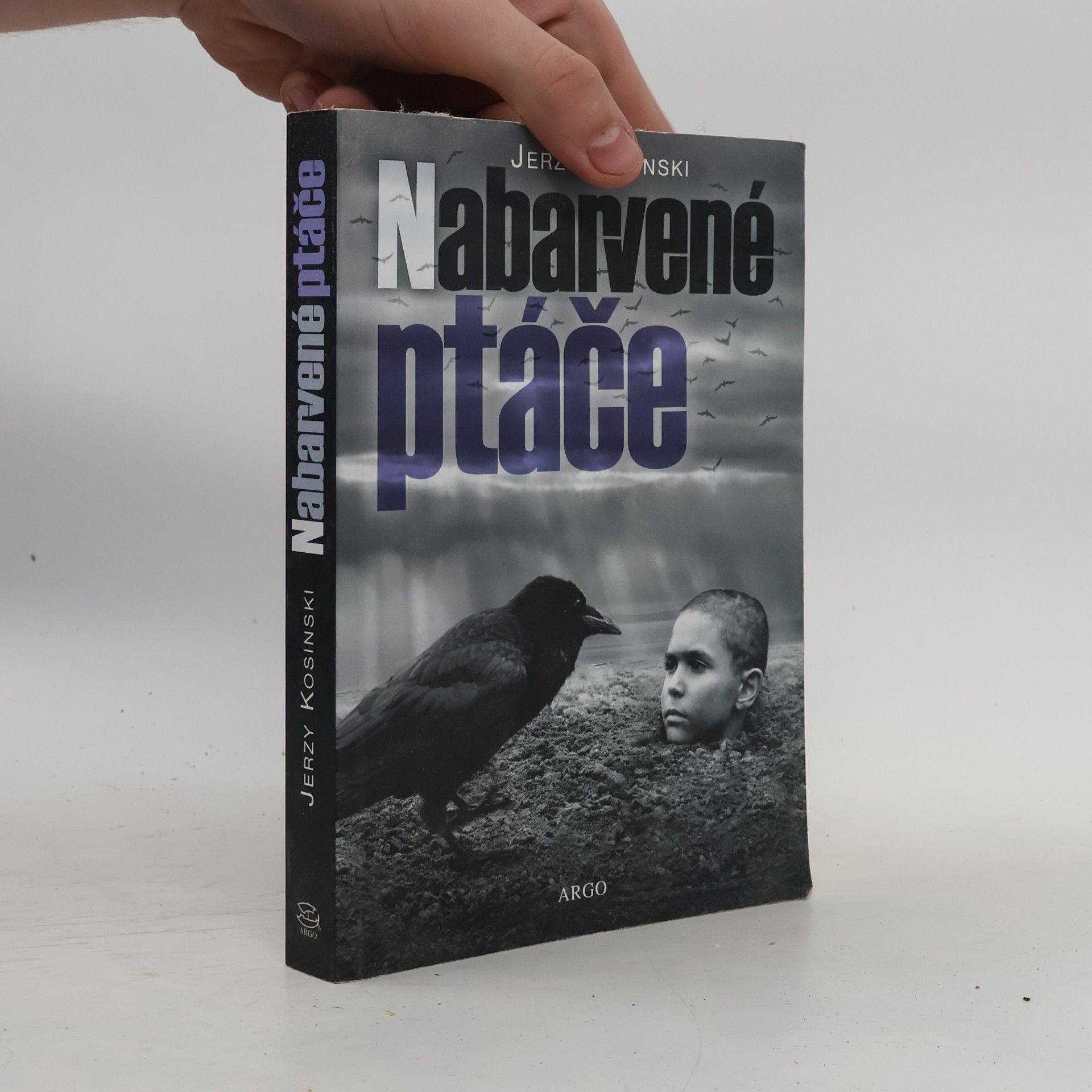 Jerzy Kosinski Nabarvené ptáče