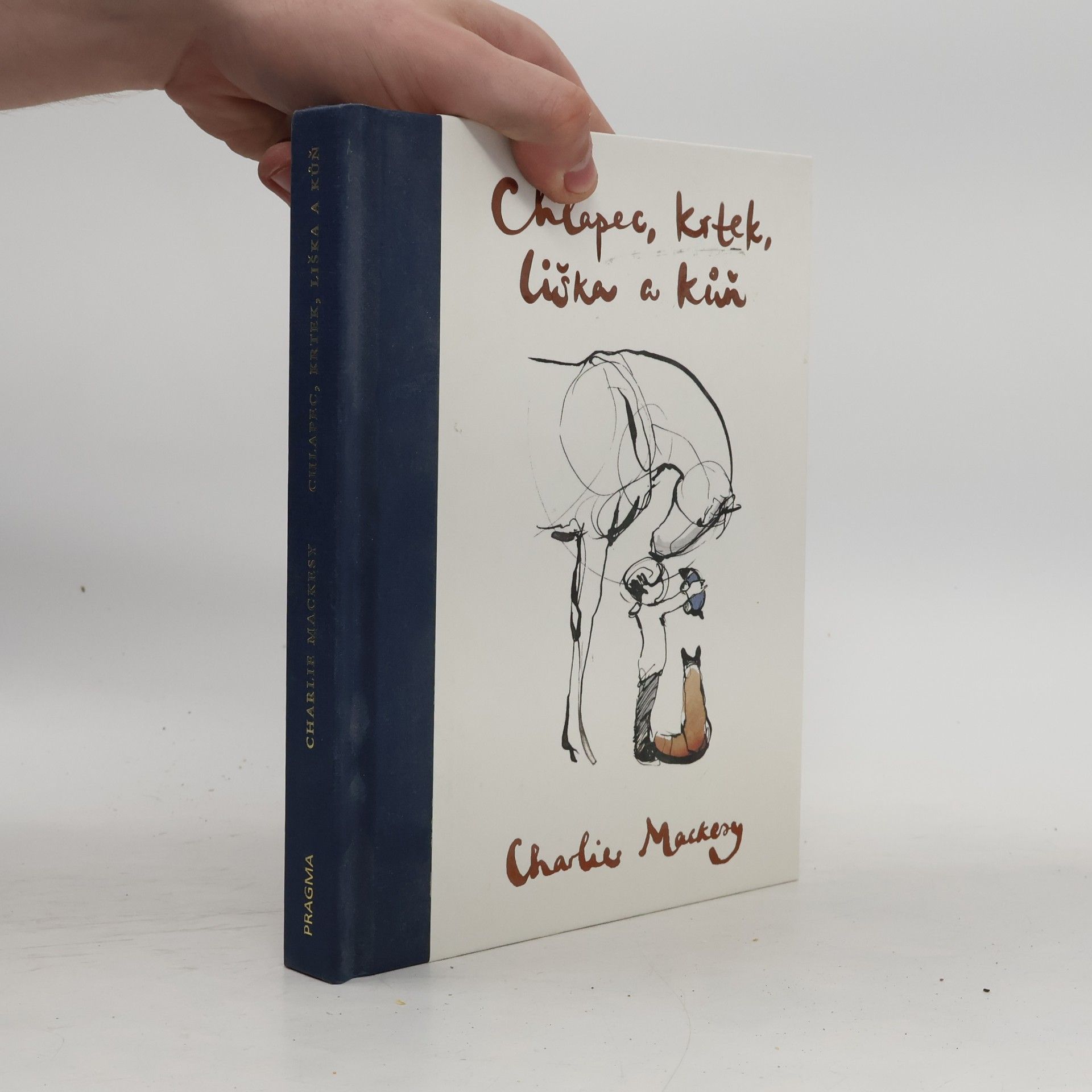 Charlie Mackesy Chlapec, krtek, liška a kůň