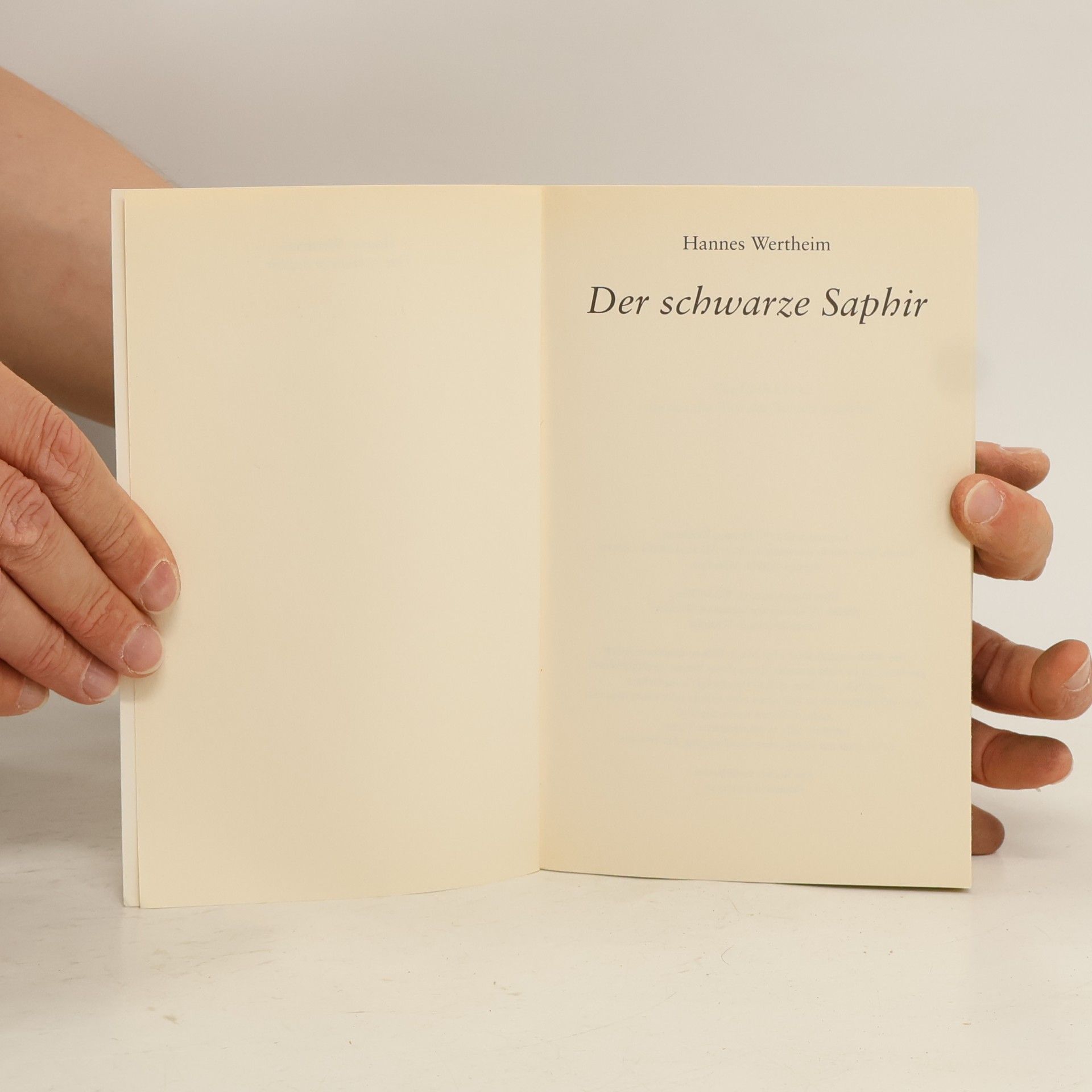 Hannes Wertheim Der schwarze Saphir