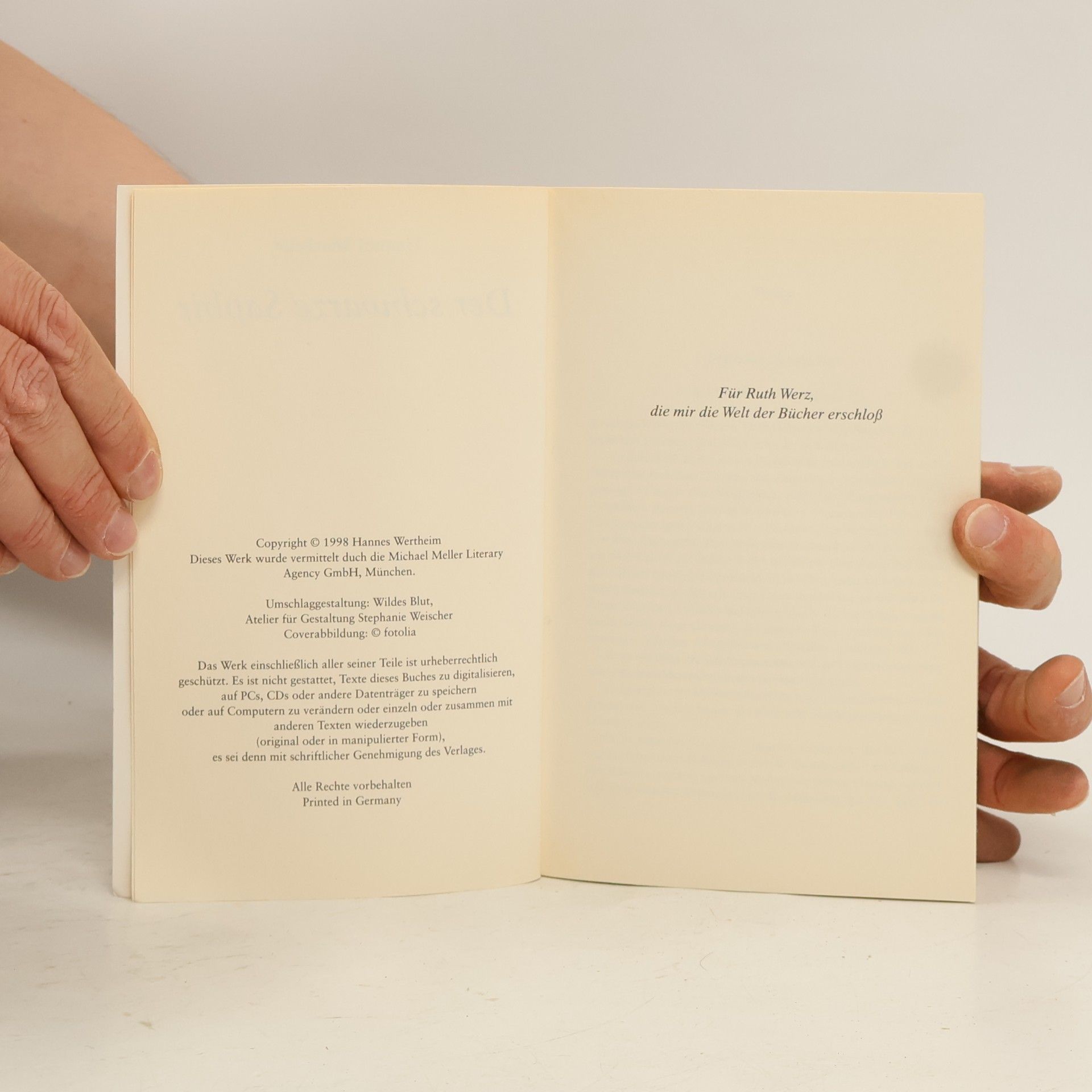 Hannes Wertheim Der schwarze Saphir