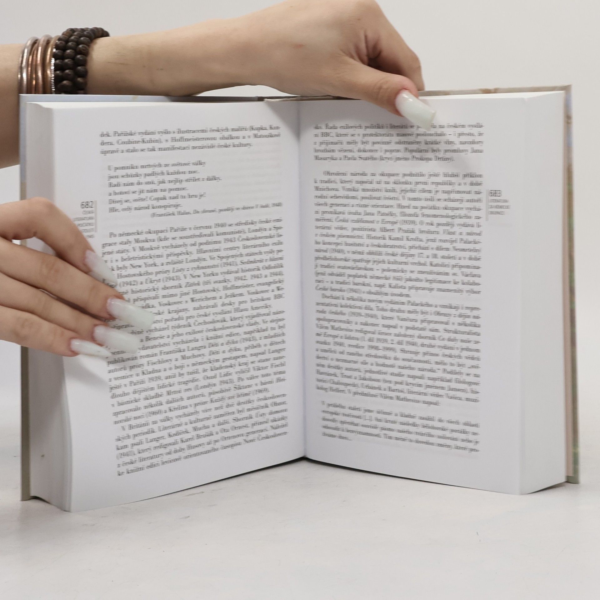 Jan Lehár Česká literatura od počátků k dnešku