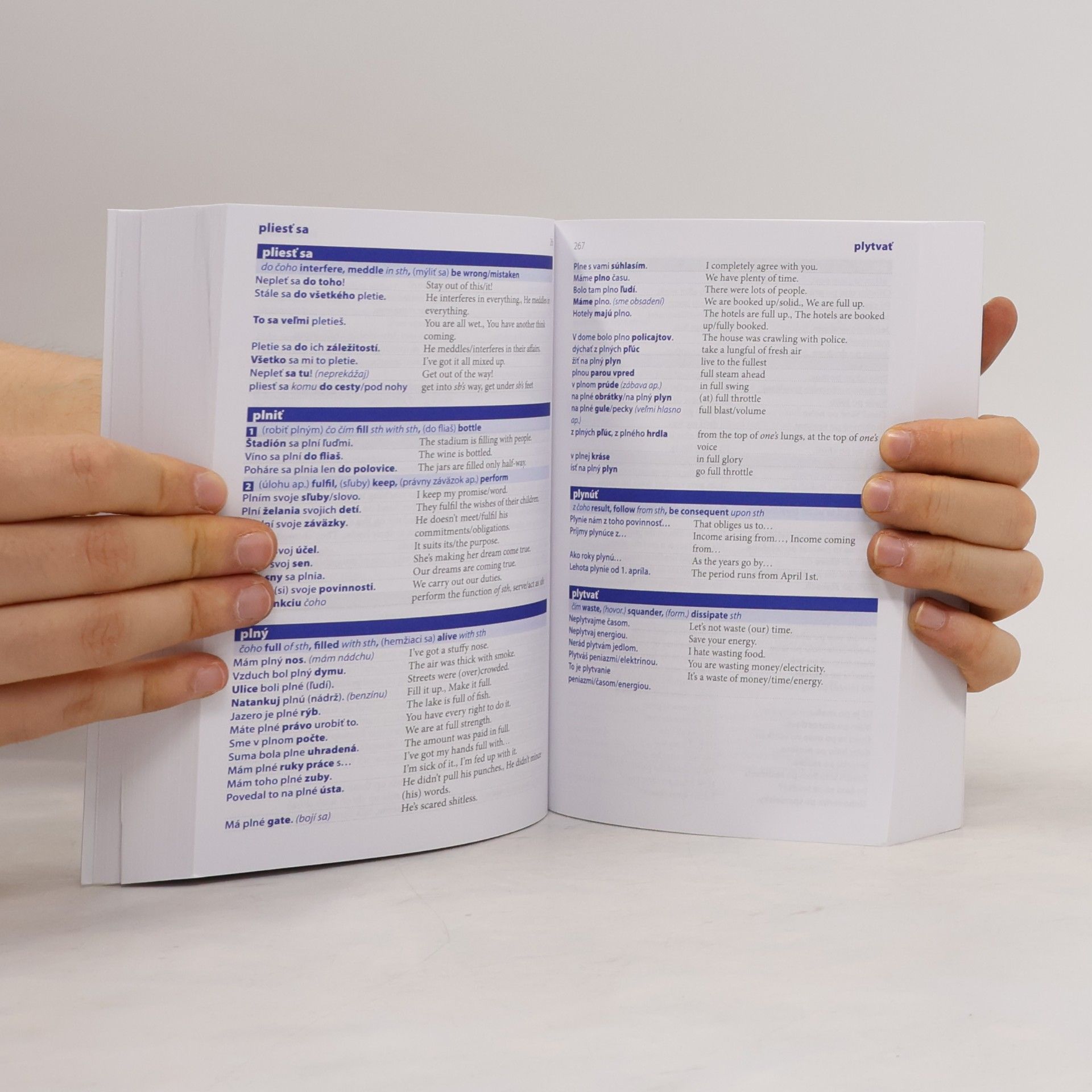 Autorenkollektiv Hovorník slovensko-anglický