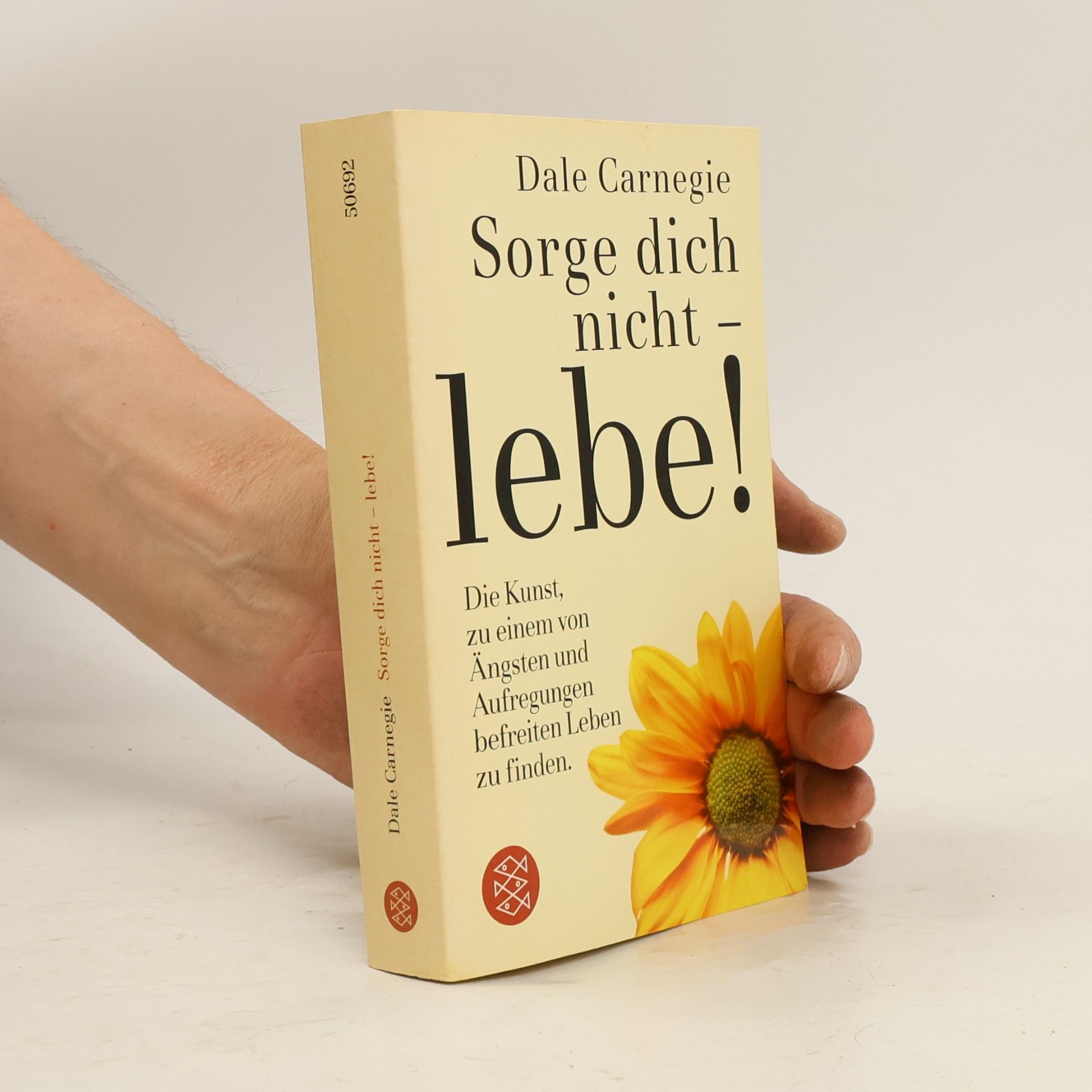 Dale Carnegie Sorge dich nicht - lebe!