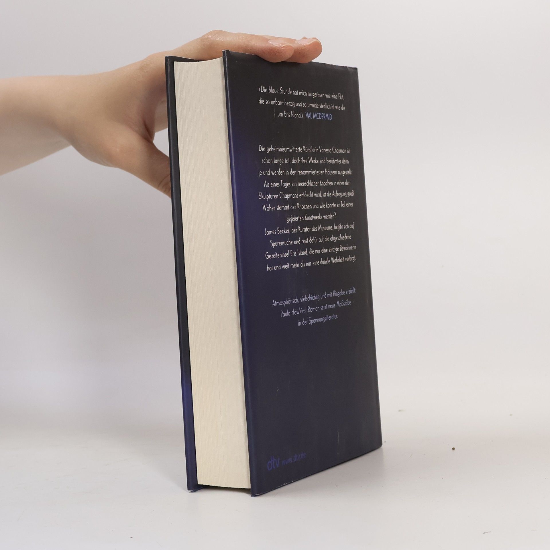 Paula Hawkins Die blaue Stunde
