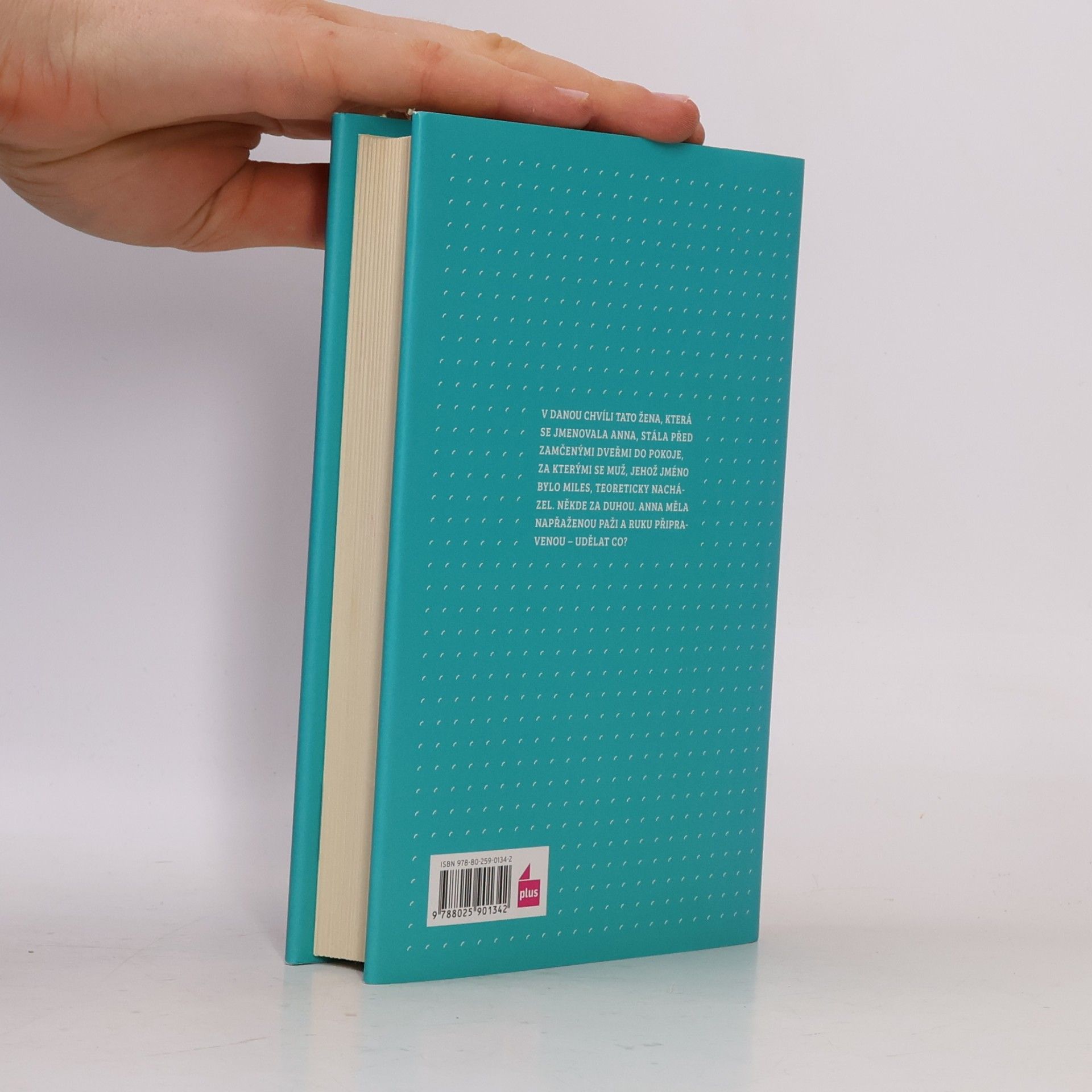 Ali Smith Tam někde za duhou