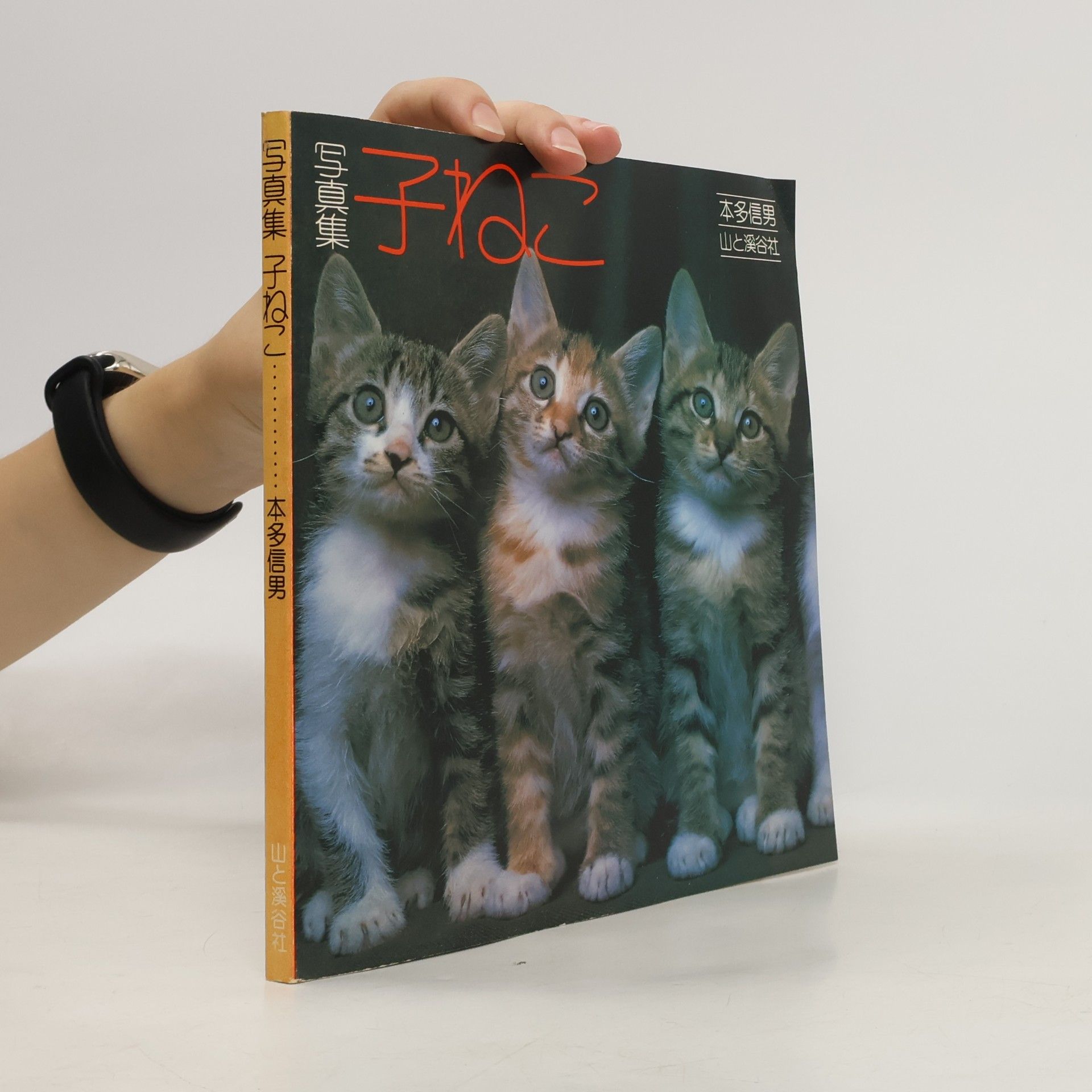 写真集 子ねこ