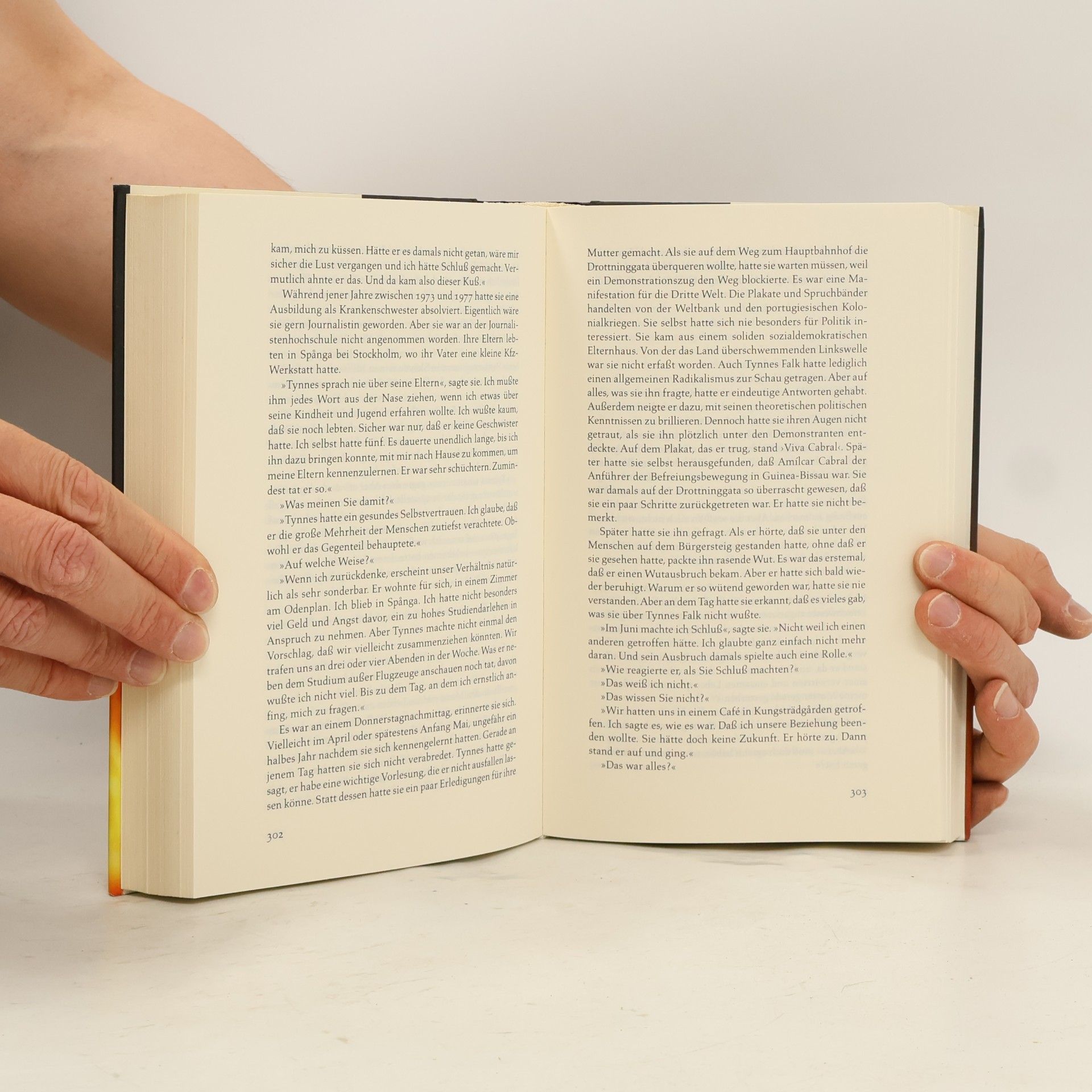 Henning Mankell Die Brandmauer