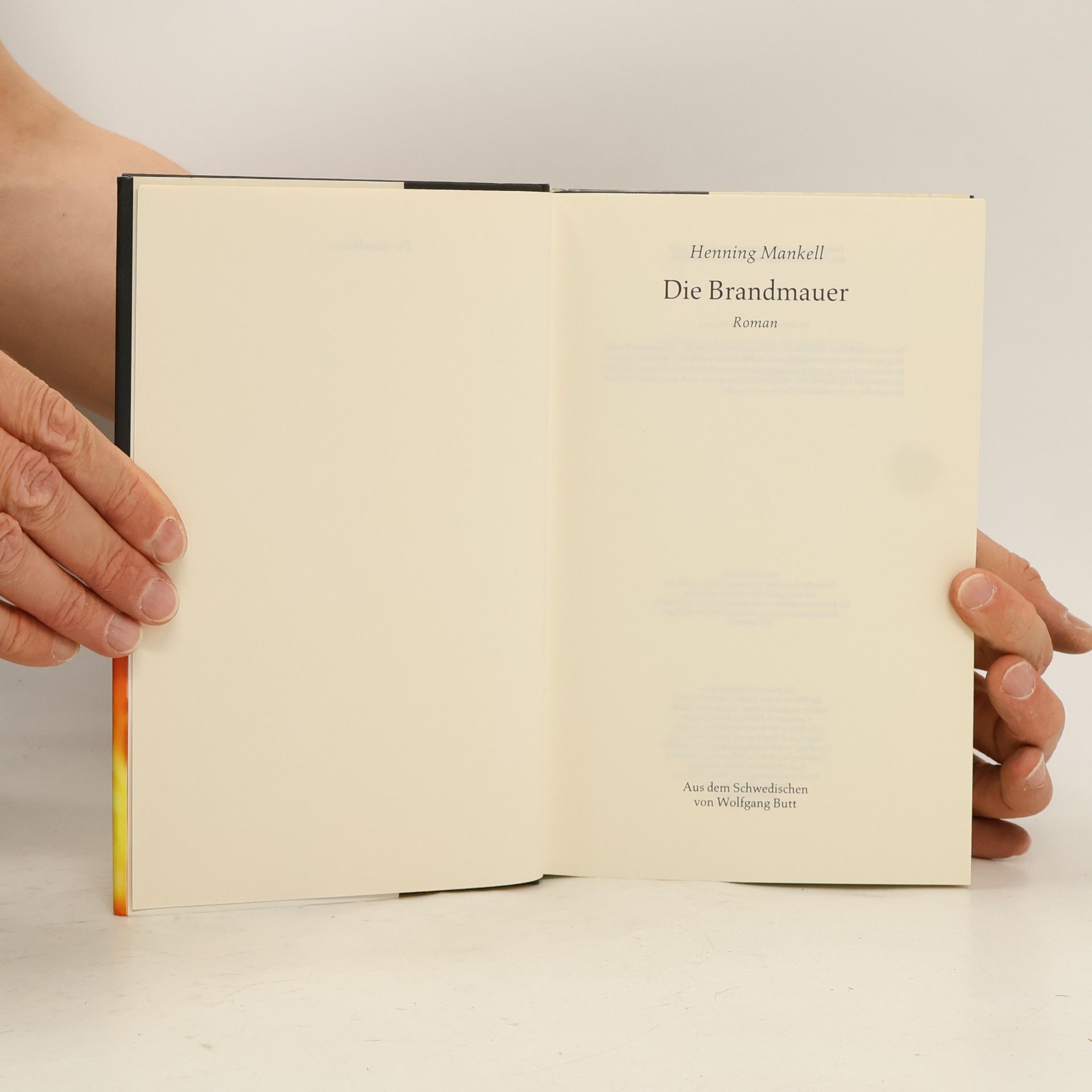 Henning Mankell Die Brandmauer