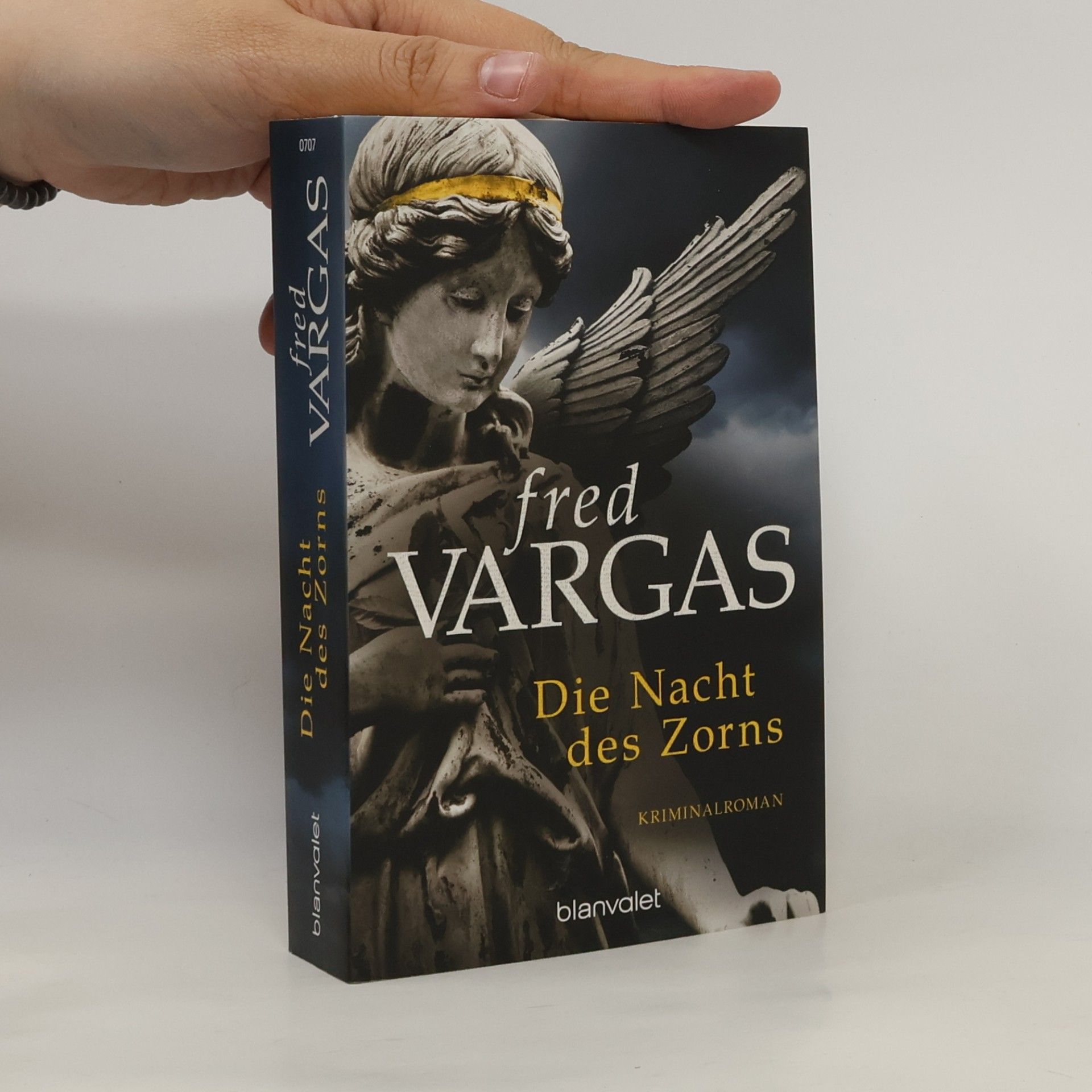 Fred Vargas Die Nacht des Zorns