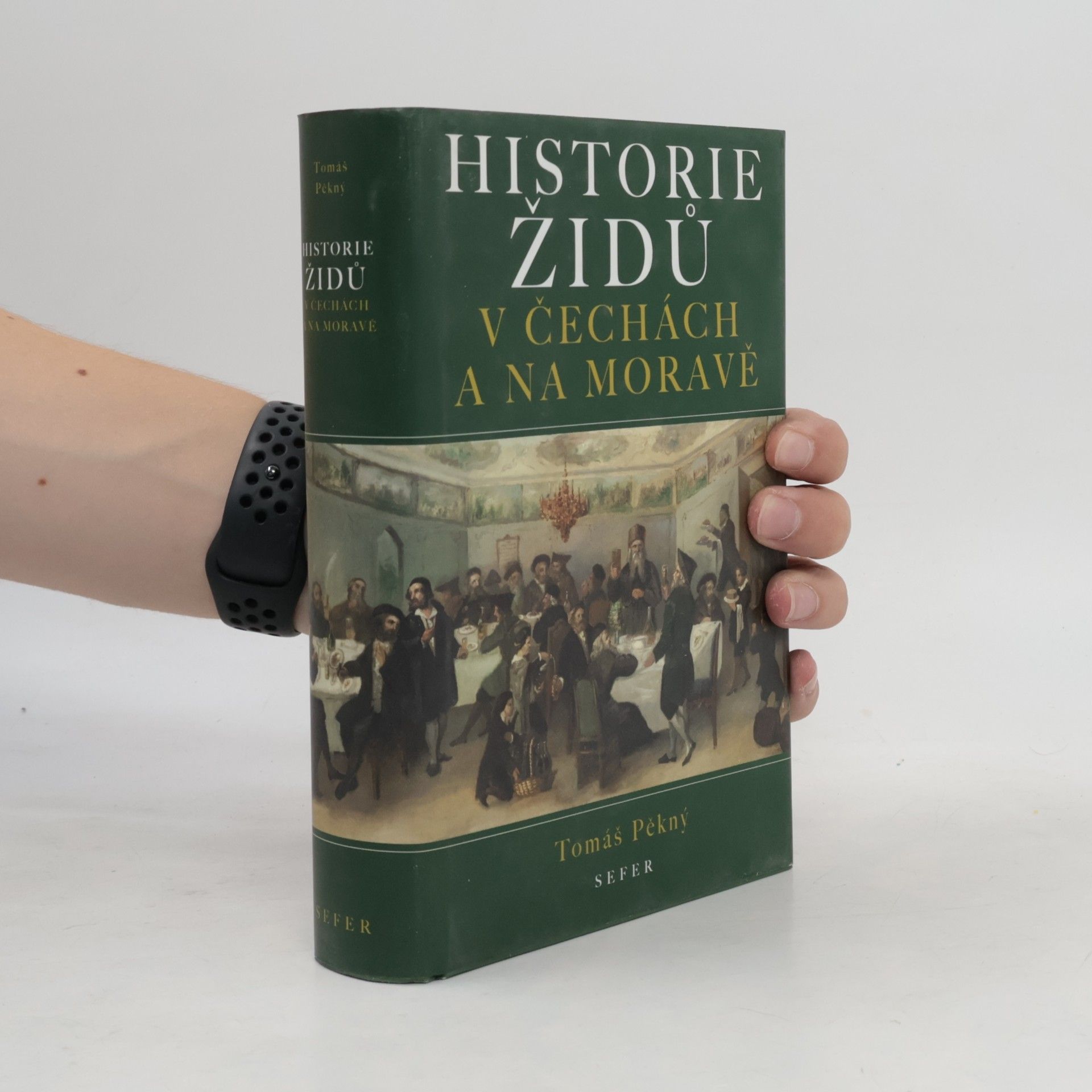 Tomáš Pěkný Historie Židů v Čechách a na Moravě